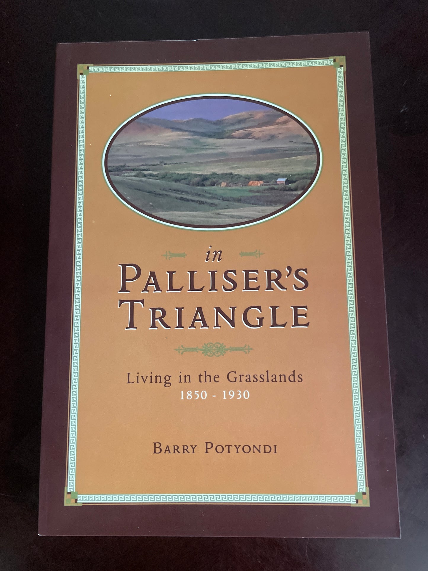 In Palliser's Triangle: Living in the Grasslands 1850-1930 - Potyondi, Barry