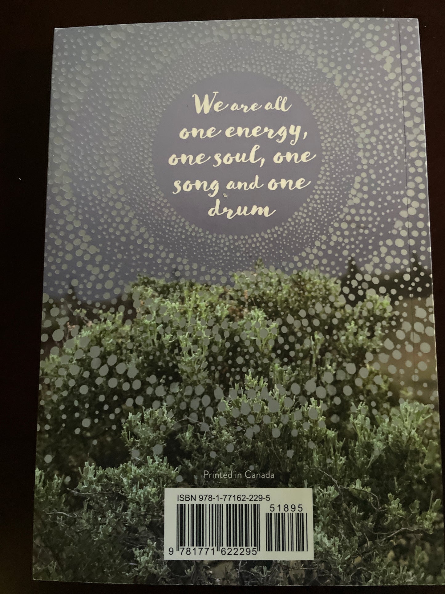 One Drum: Stories and Ceremonies for a Planet - Wagamese, Richard