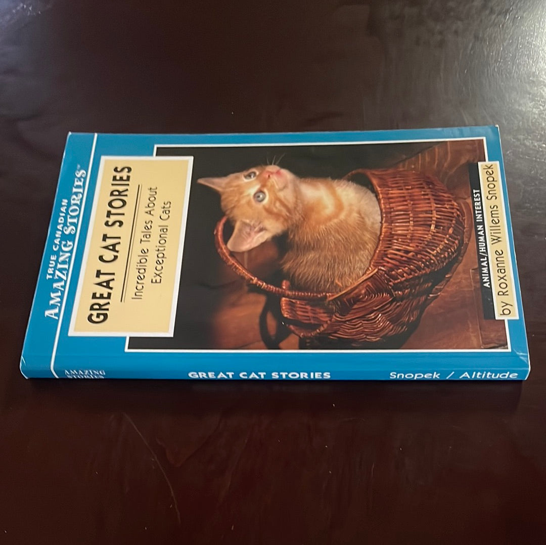 Great Cat Stories: Incredible Tales About Exceptional Cats (Amazing Stories) - Willems-Snopek, Roxanne