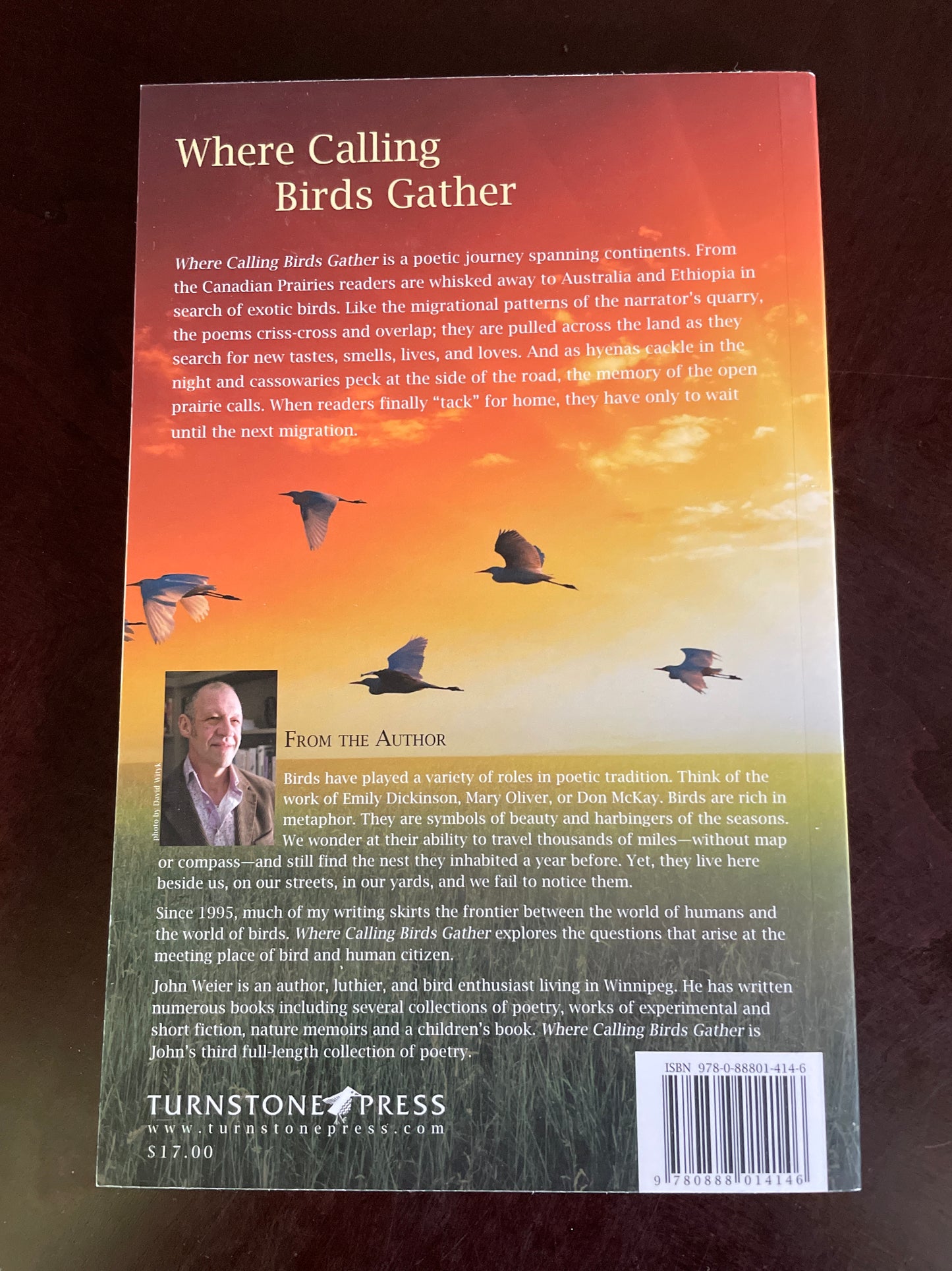 Where Calling Birds Gather (Inscribed) - Weier, John