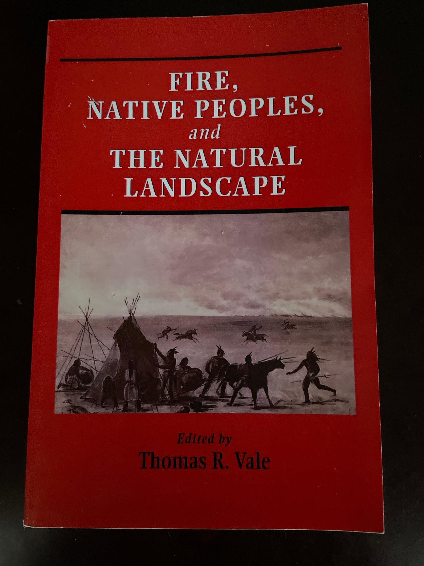 Fire, Native Peoples, and the Natural Landscape - Vale, Thomas R.