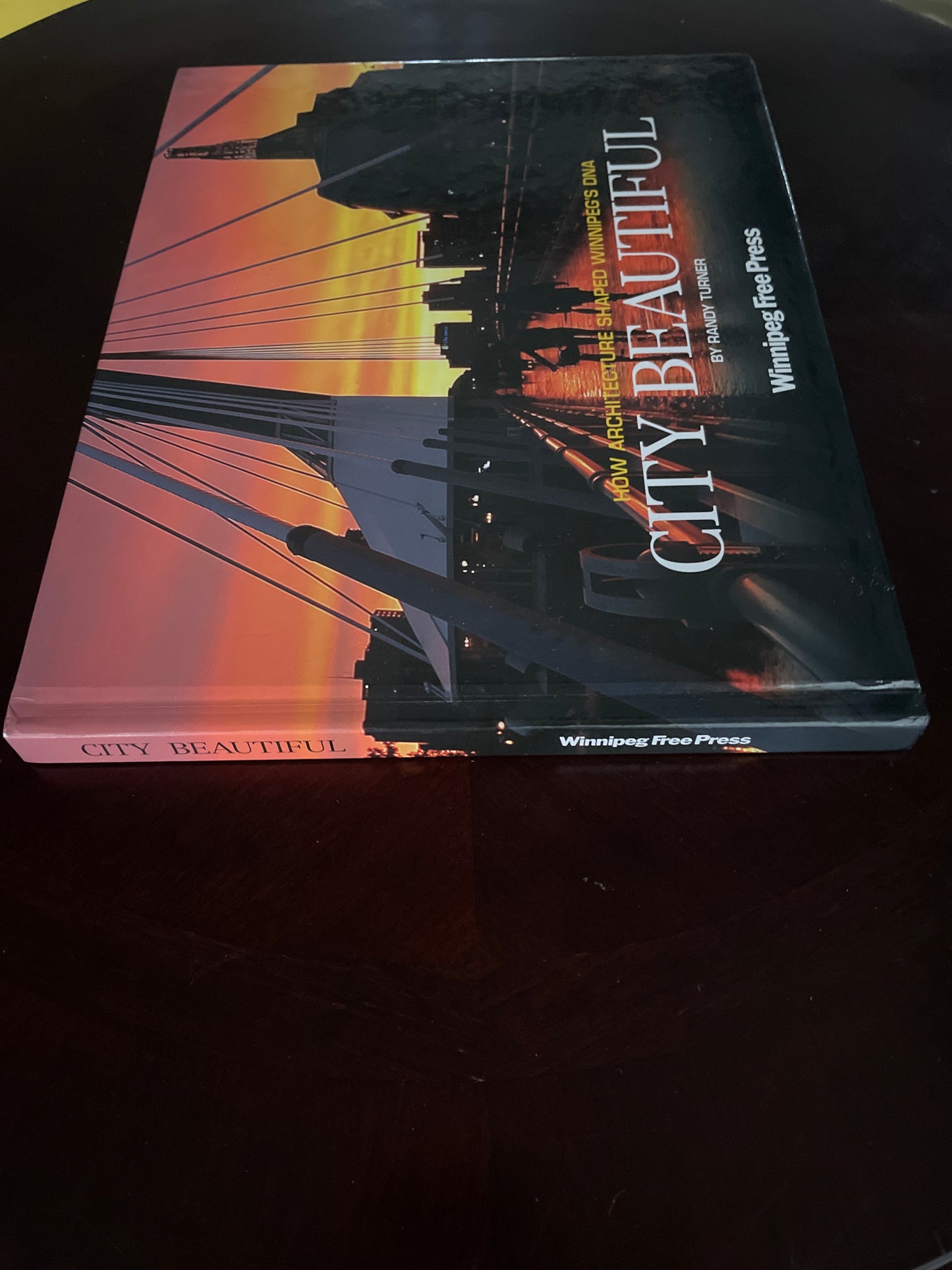 City Beautiful: How Architecture Shaped Winnipeg's DNA - Turner, Randy