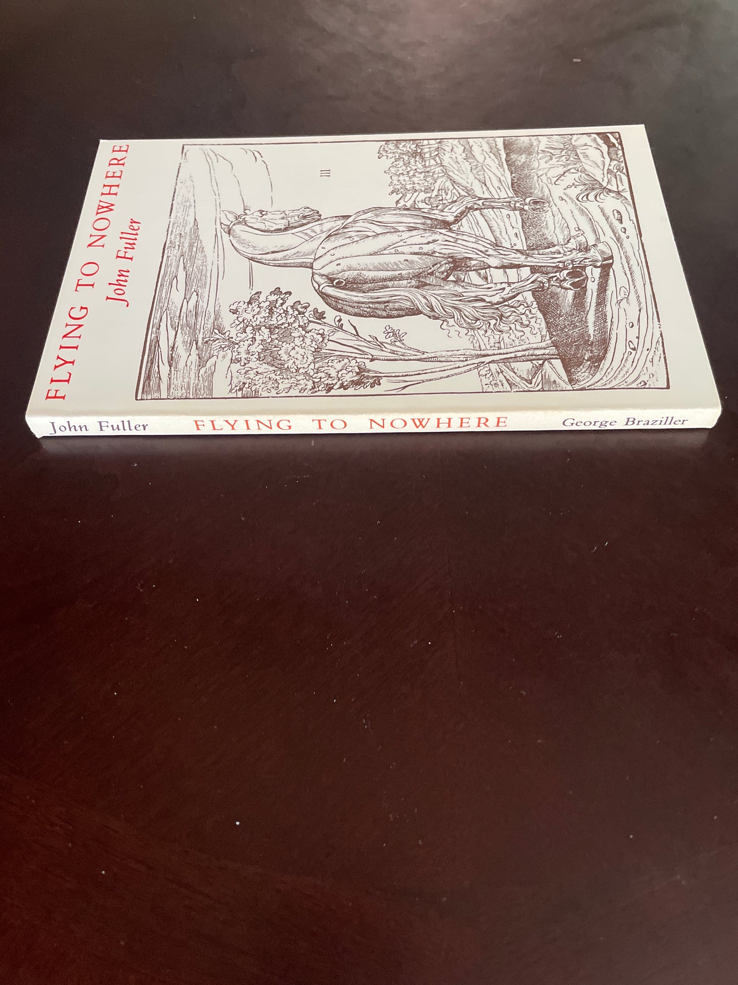Flying to Nowhere: A Tale - Fuller, John