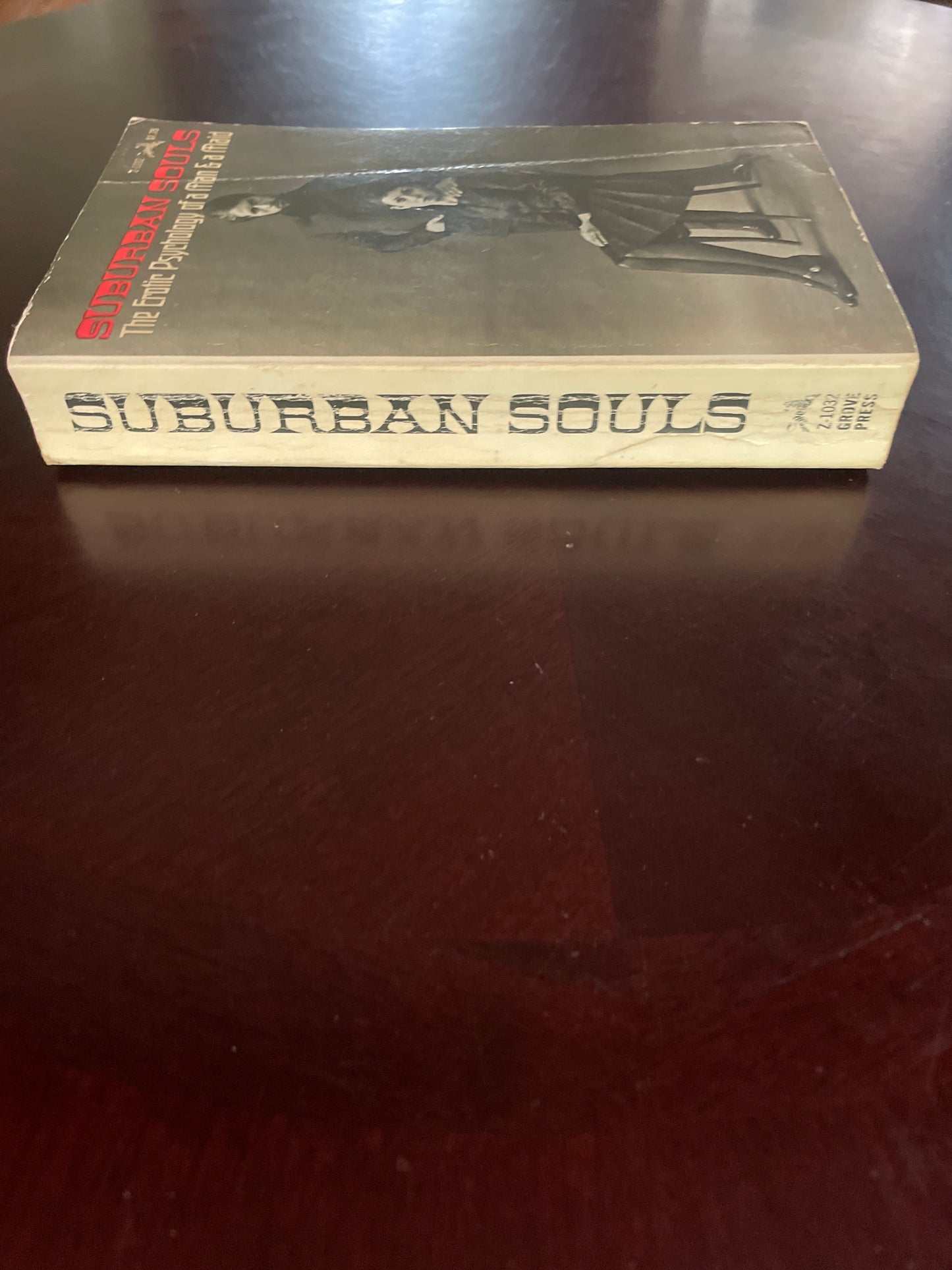 Suburban Souls: The Erotic Psychology of a Man & a Maid - Anonymous