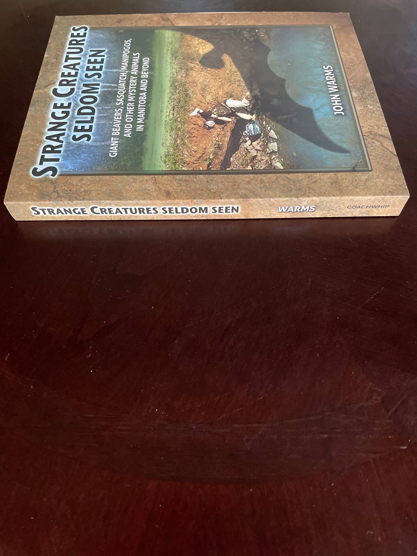 Strange Creatures Seldom Seen: Giant Beavers, Sasquatch, Manipogos, and Other Mystery Animals in Manitoba and Beyond Warms, John