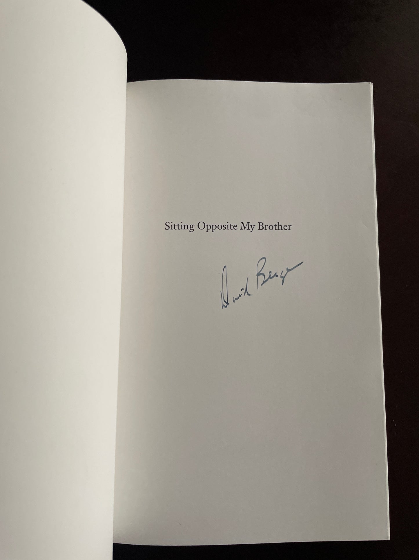 Sitting Opposite My Brother (Signed) - Bergen, David