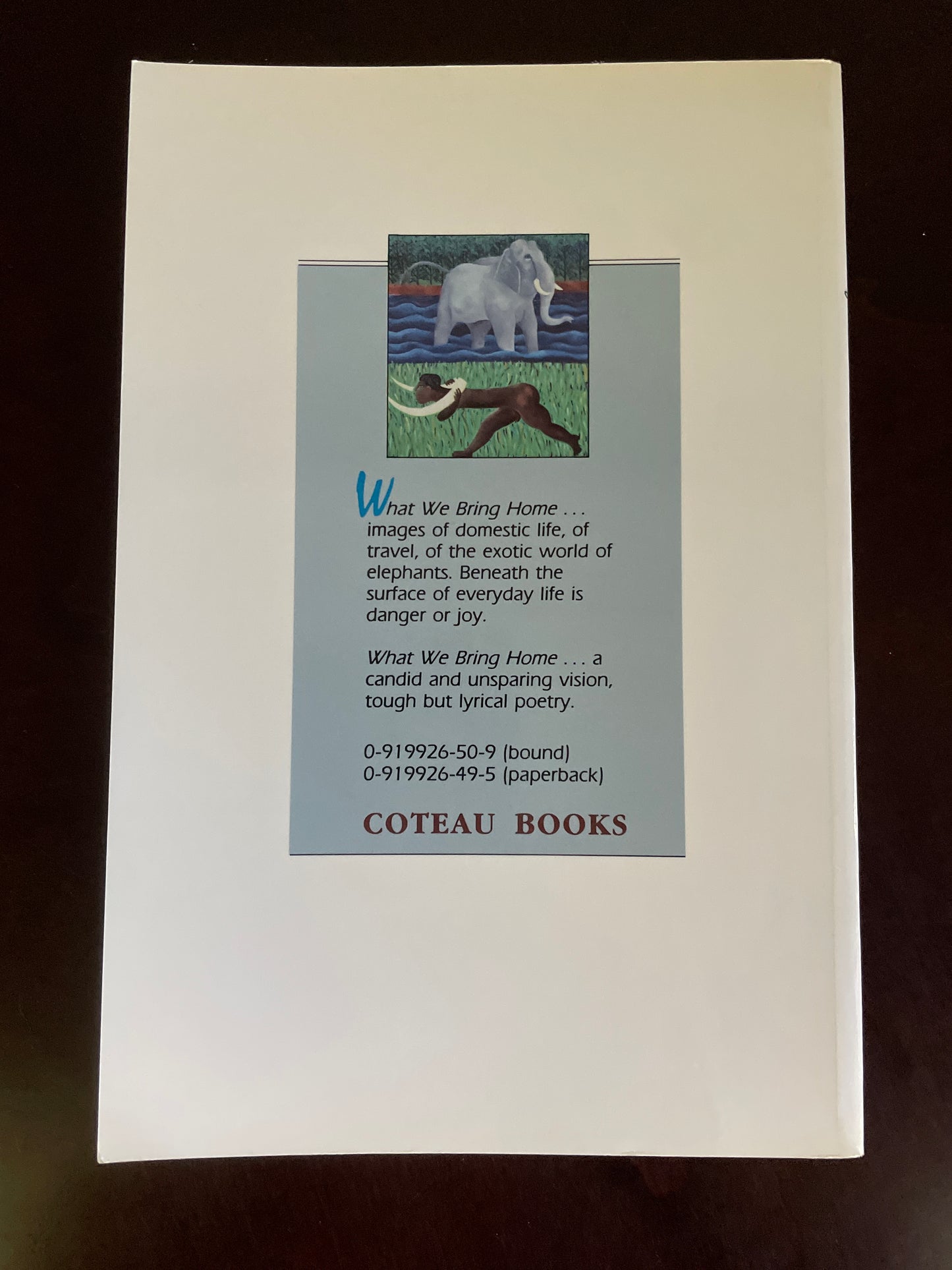 What We Bring Home (Inscribed) - Krause, Judith