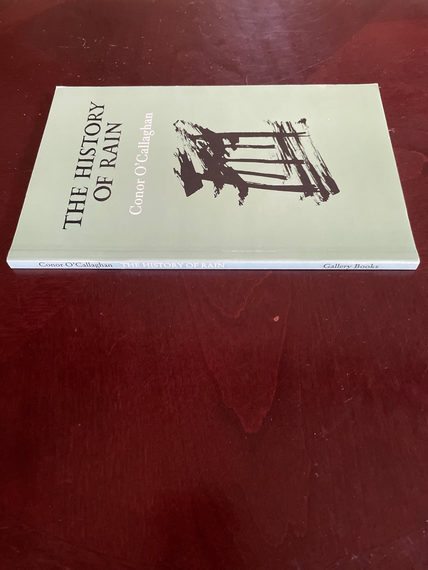 The History of Rain (Inscribed) - O'Callaghan, Conor
