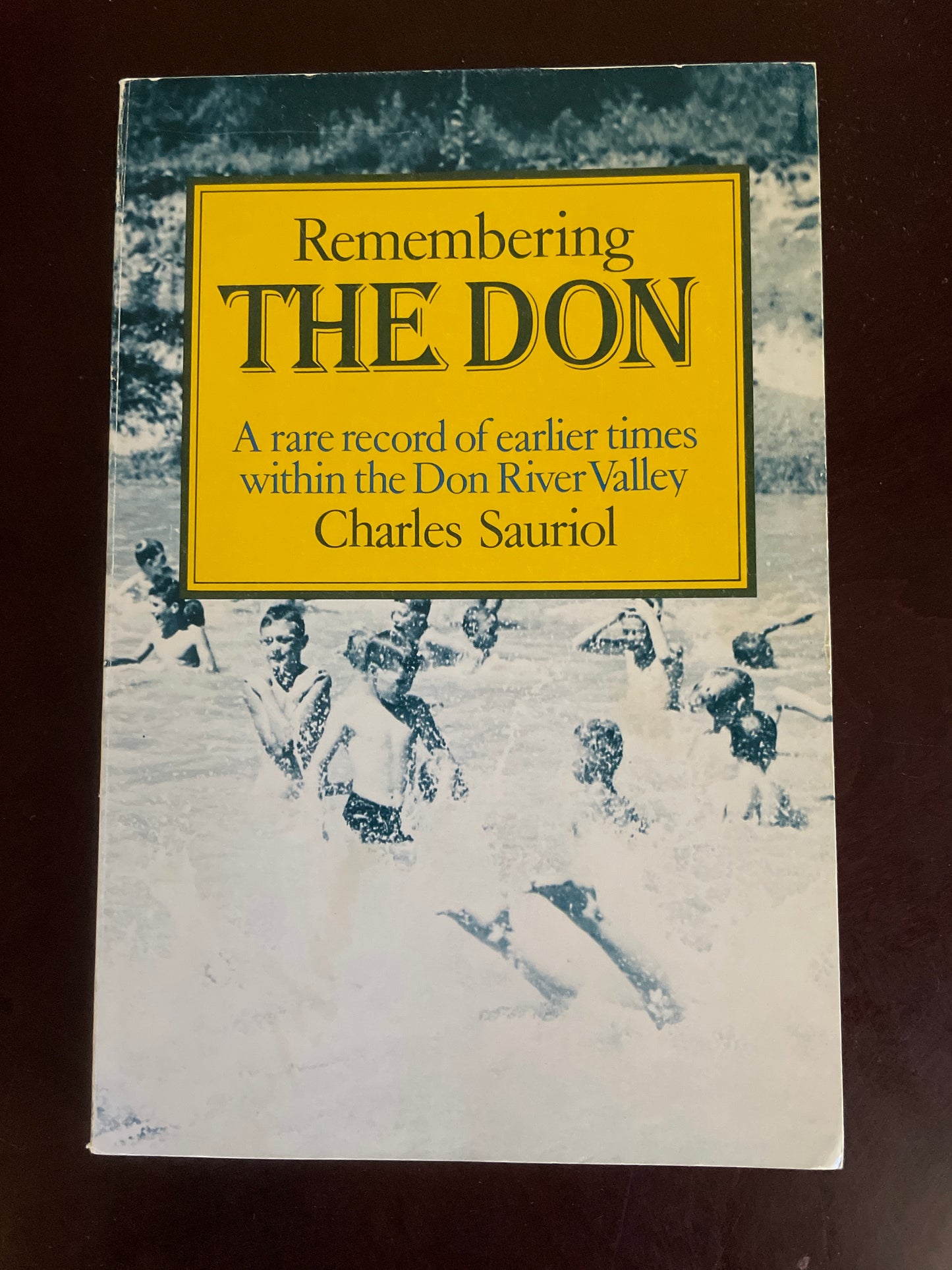 Remembering the Don: A Rare Record of Earlier Times Within the Don River Valley - Sauriol, Charles