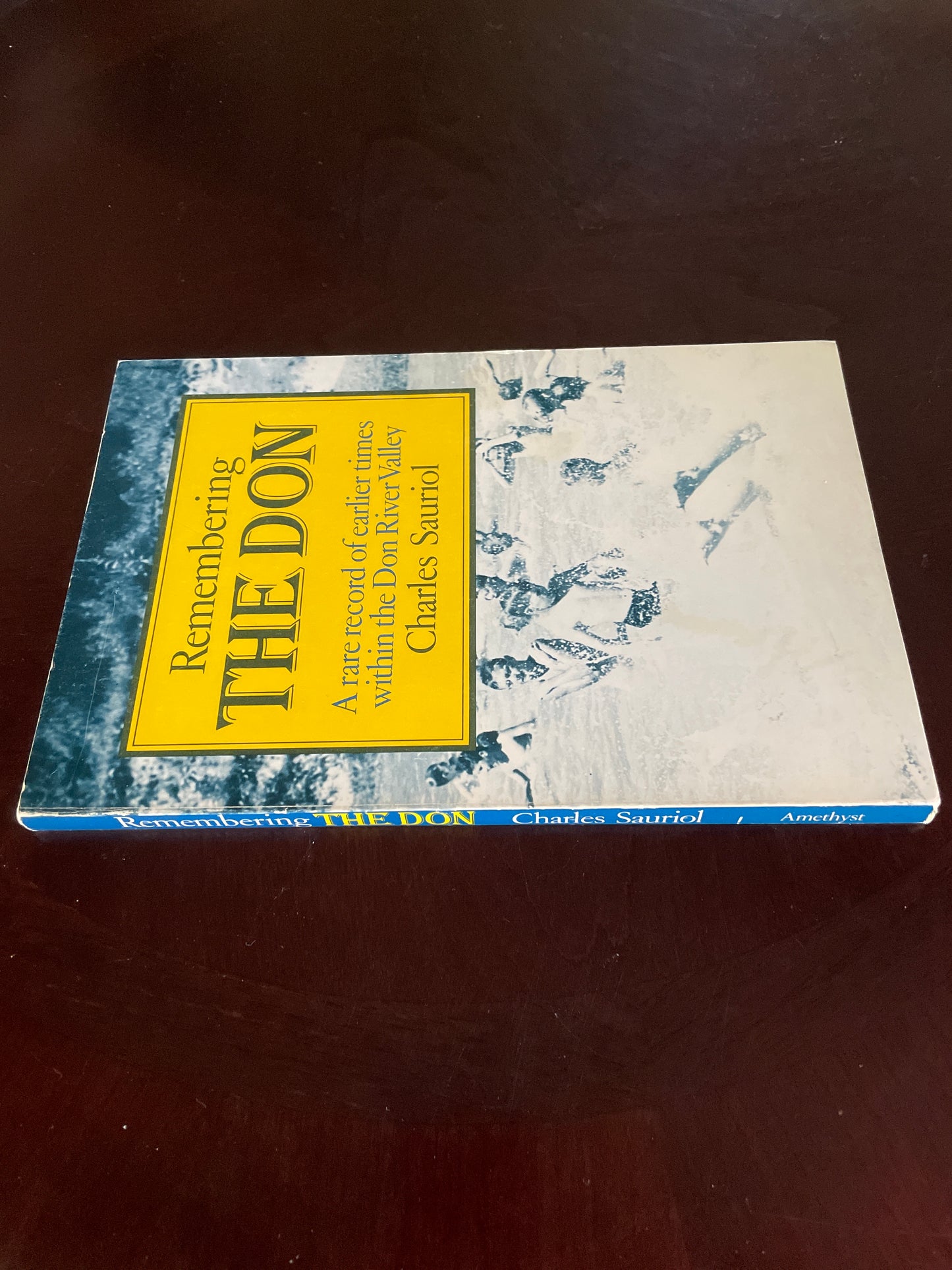 Remembering the Don: A Rare Record of Earlier Times Within the Don River Valley - Sauriol, Charles