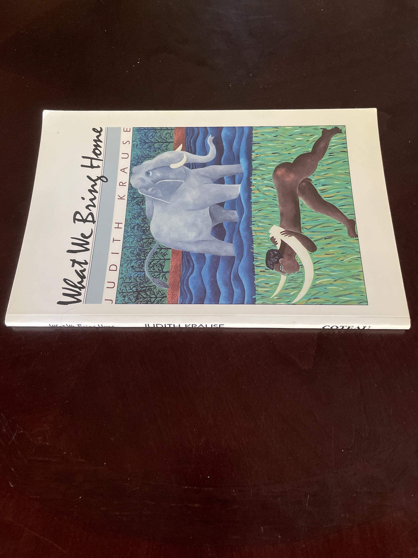 What We Bring Home (Inscribed) - Krause, Judith