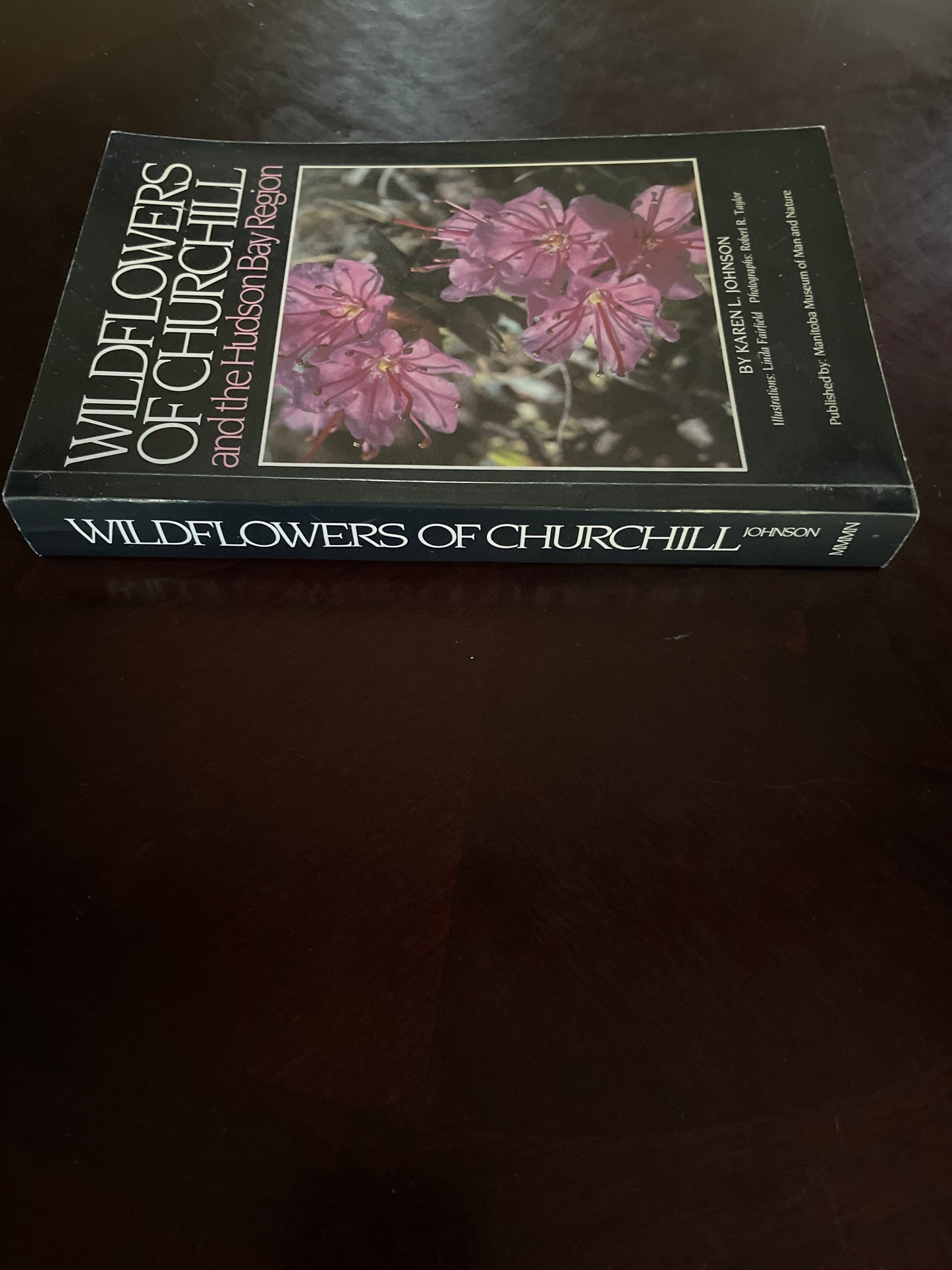 Wildflowers of Churchill and the Hudson Bay Region - Johnson, Karen L.