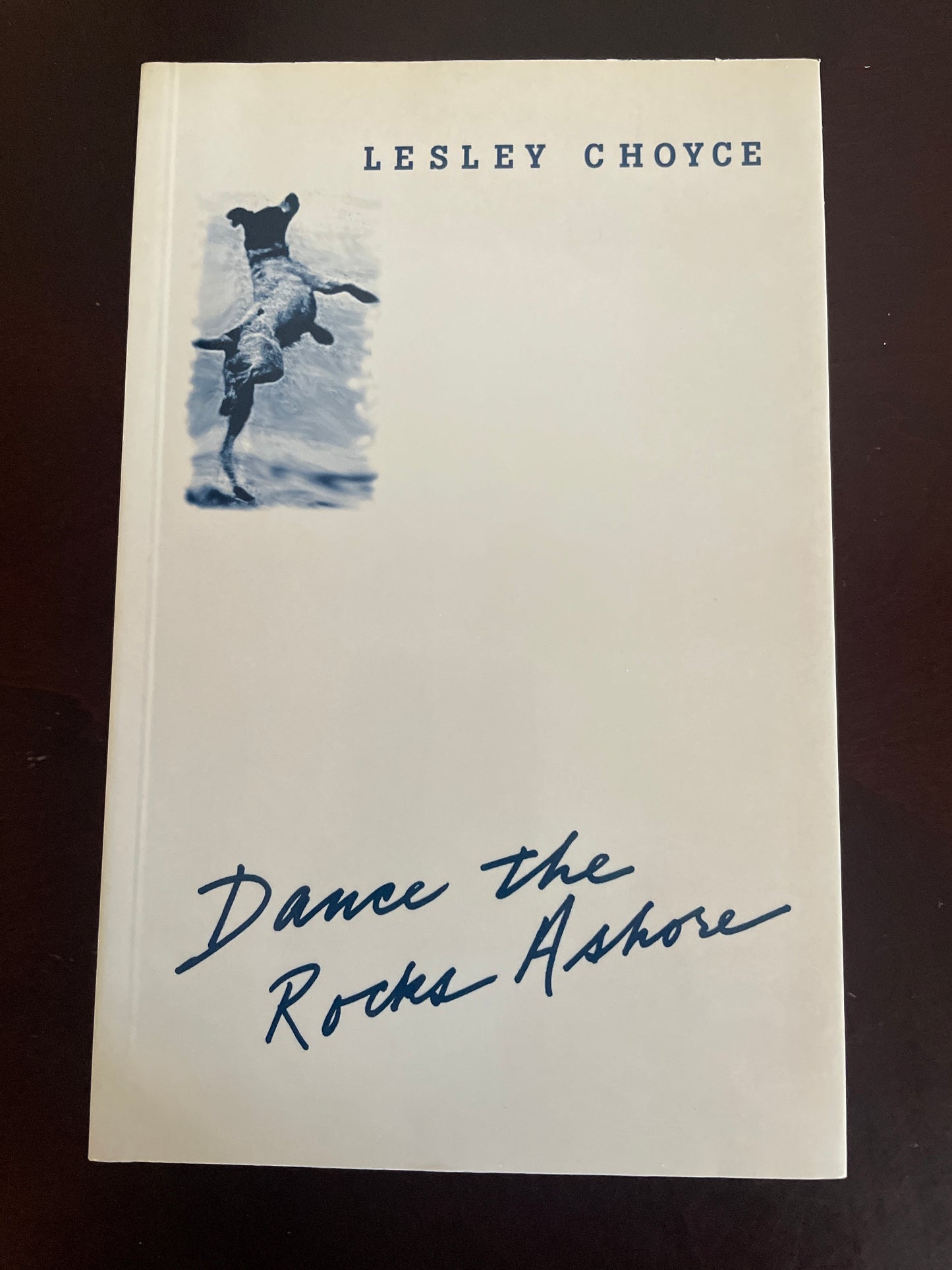 Dance the Rocks Ashore (Signed) - Choyce, Lesley
