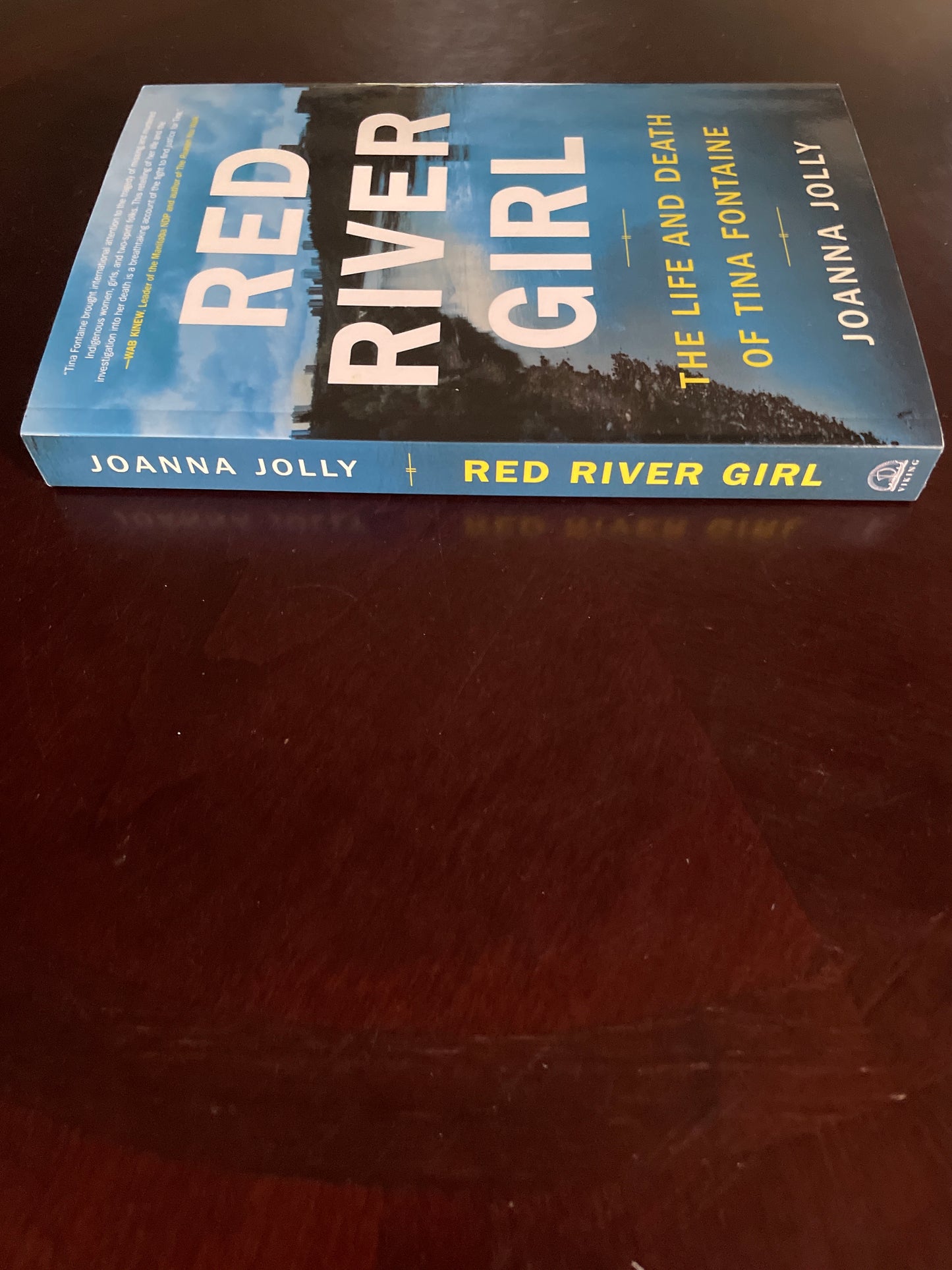 Red River Girl: The Life and Death of Tina Fontaine - Jolly, Joanna