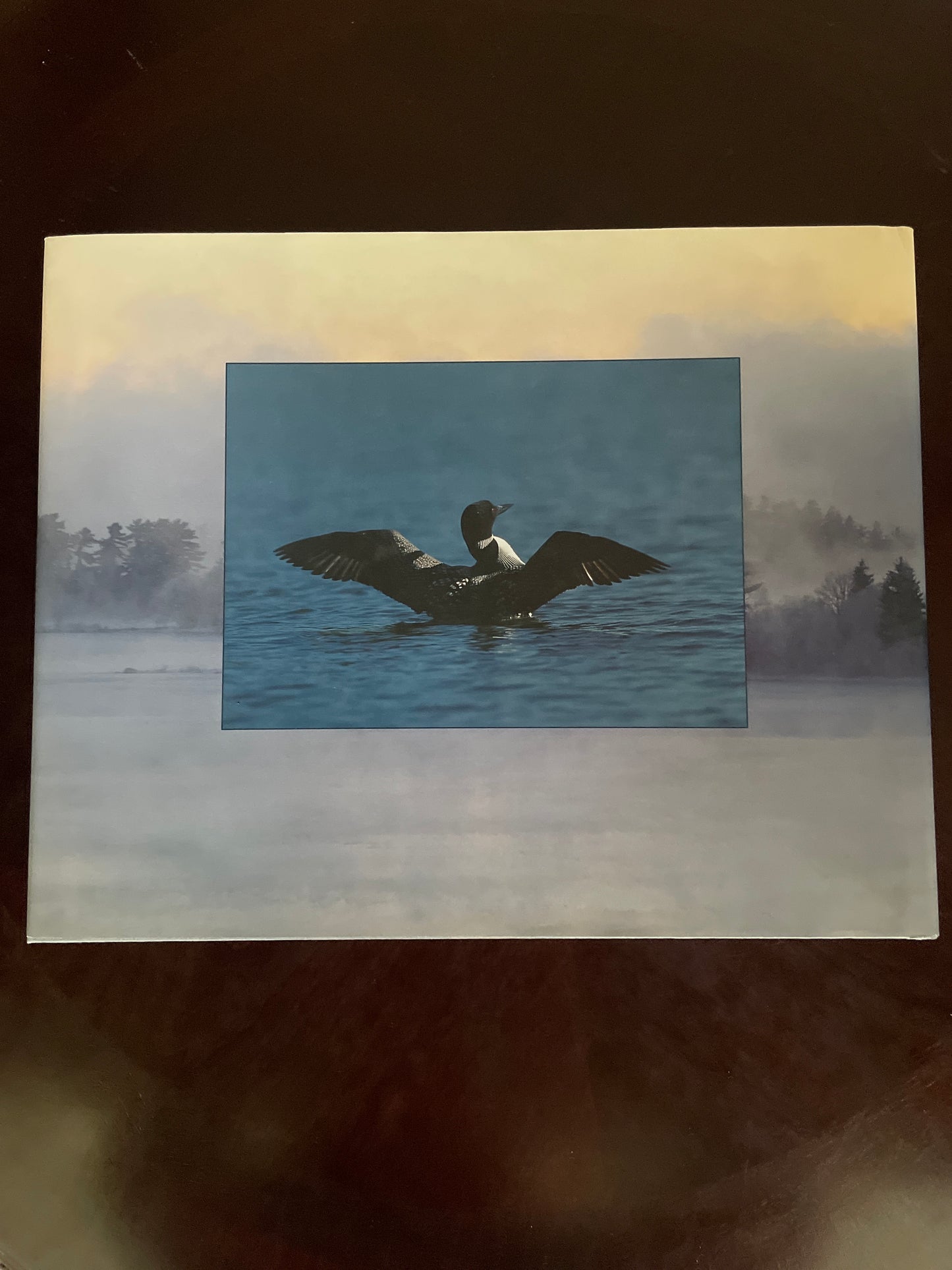 Northern Exposures: Images of Northern Ontario (Signed) - Thomson, Tom