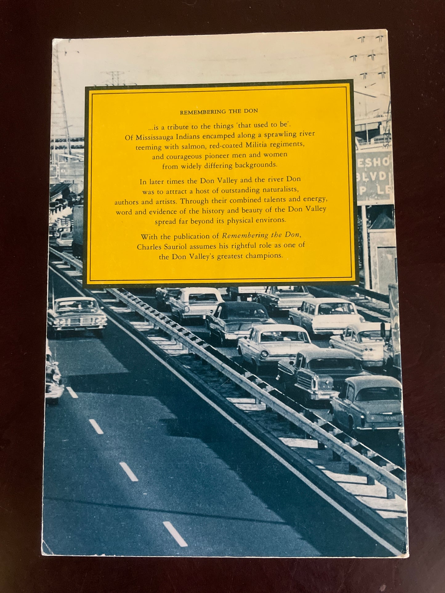 Remembering the Don: A Rare Record of Earlier Times Within the Don River Valley - Sauriol, Charles