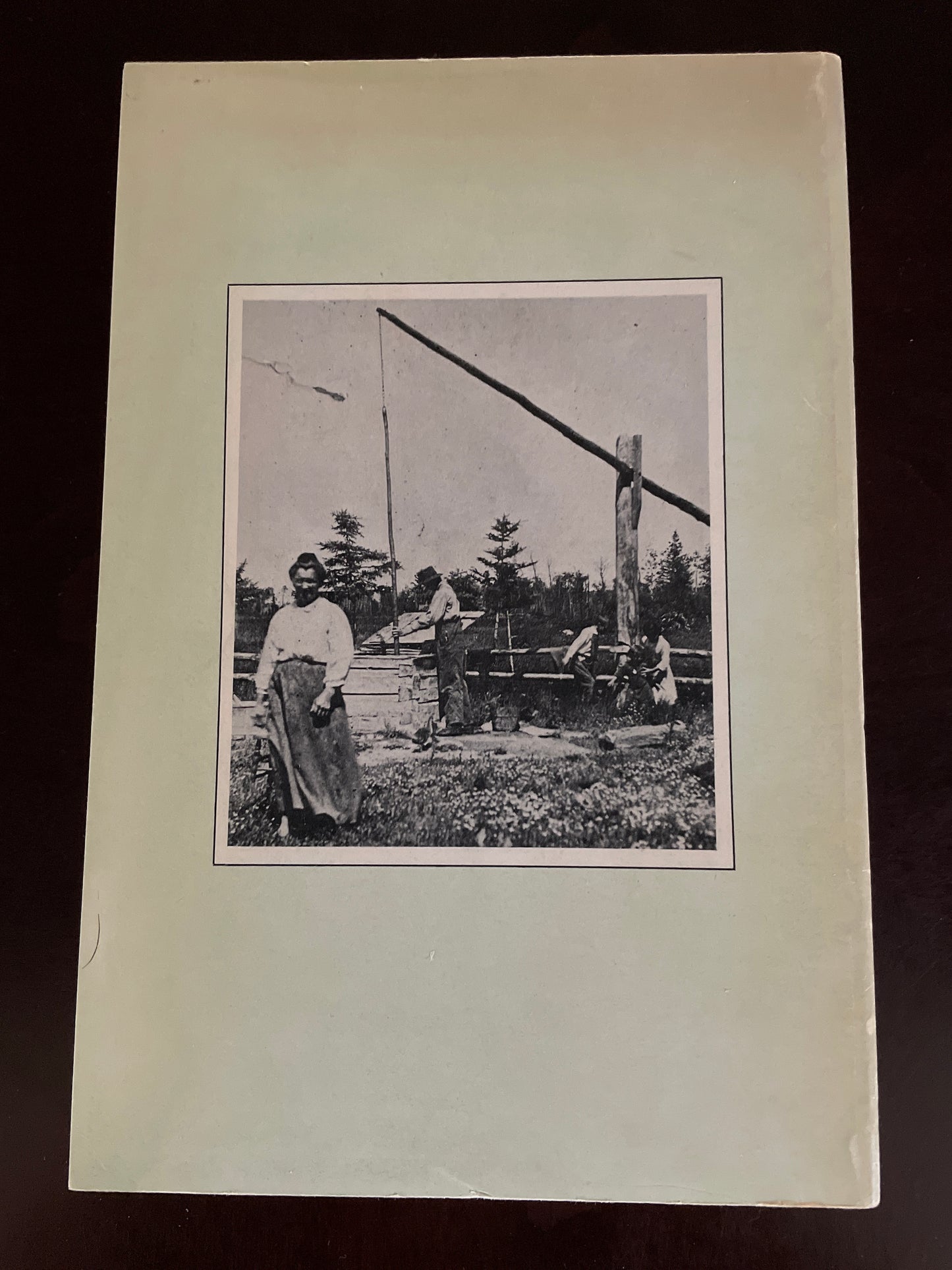Spruce, Swamp and Stone : A History of the Pioneer Ukrainian Settlements in the Gimli Area - Ewanchuk, Michael