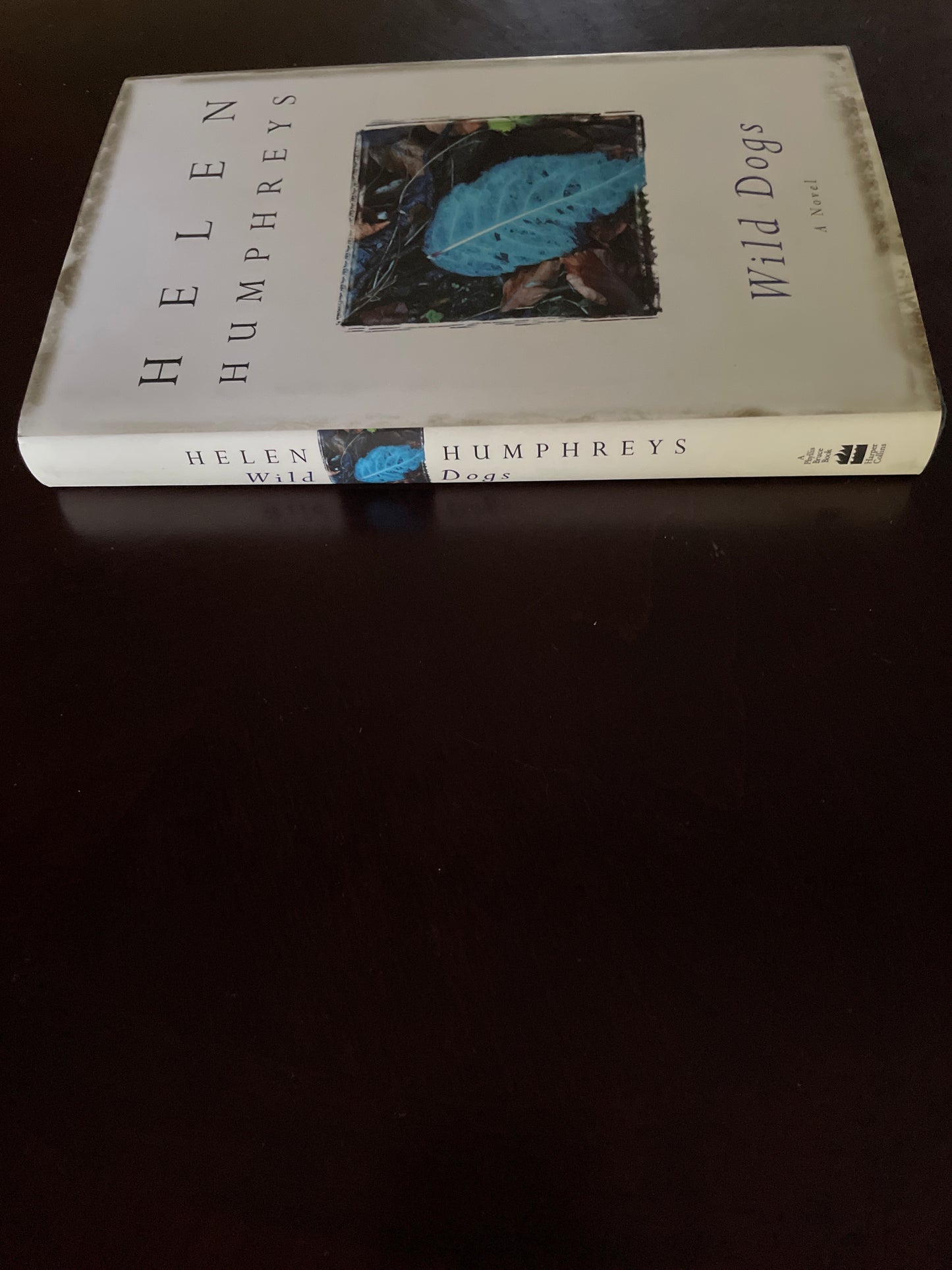 Wild Dogs (Signed) - Humphreys, Helen