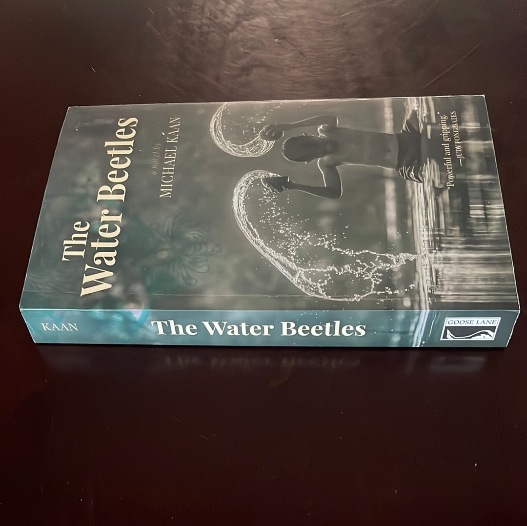 The Water Beetles - Kaan, Michael