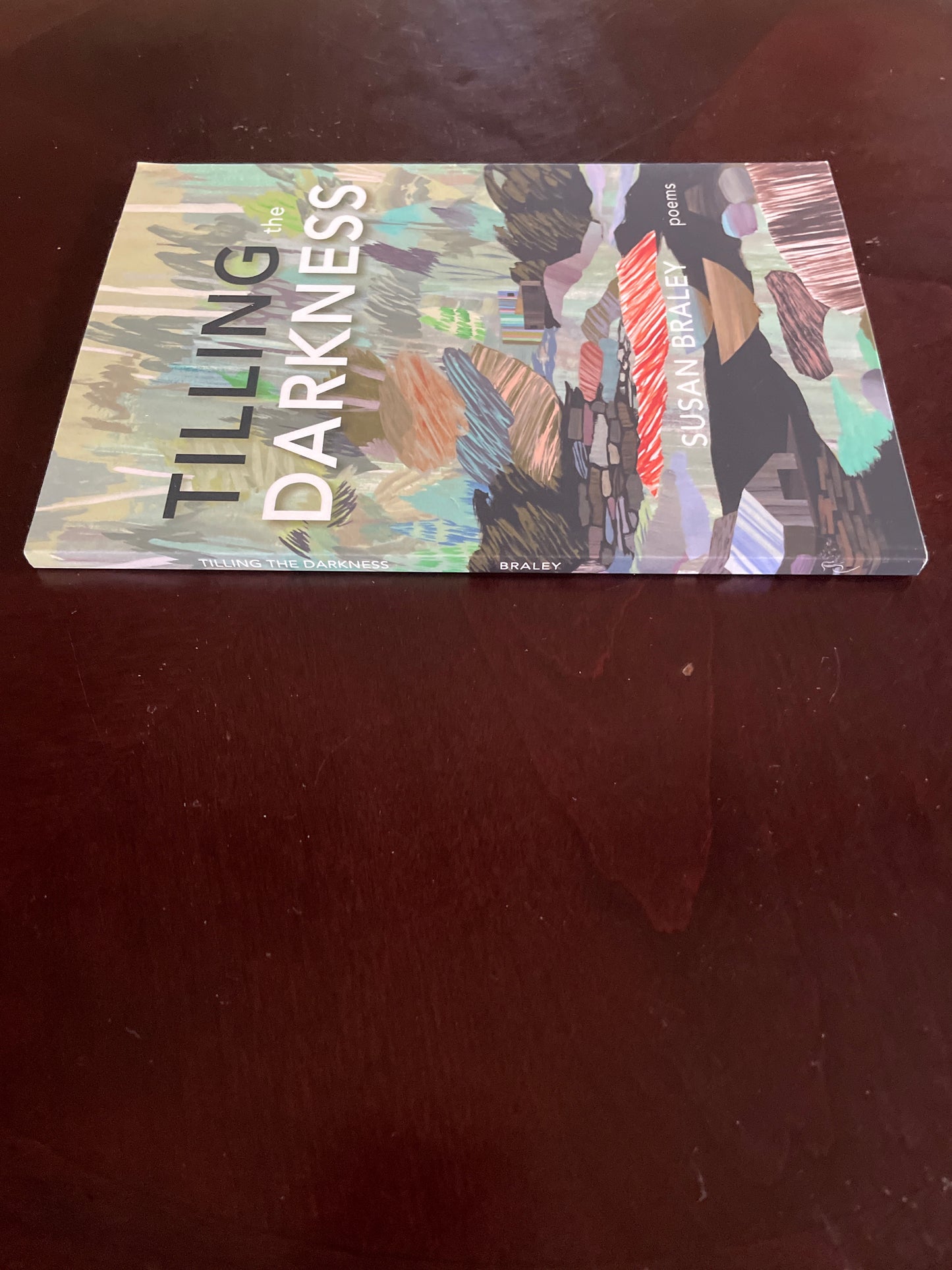 Tilling the Darkness: Poems (Inscribed) - Braley, Susan