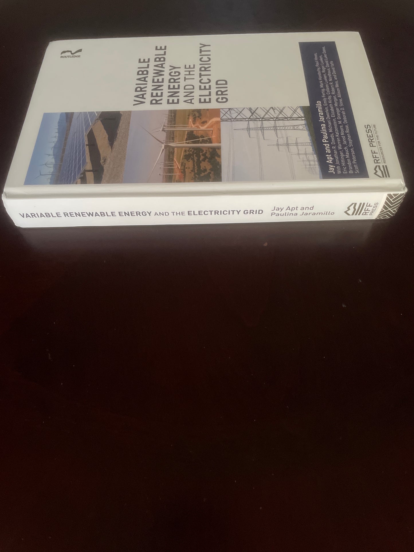 Variable Renewable Energy and the Electricity Grid - Apt, Jay; Jaramillo, Paulina