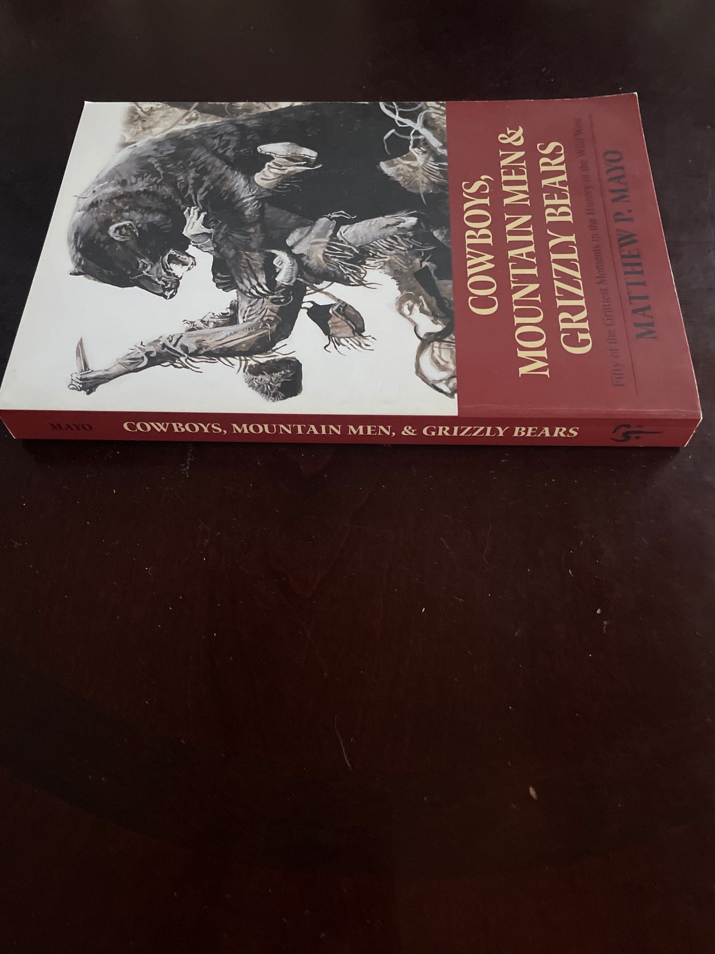 Cowboys, Mountain Men, and Grizzly Bears: Fifty of the Grittiest Moments in the History of the Wild West = Mayo, Matthew P.