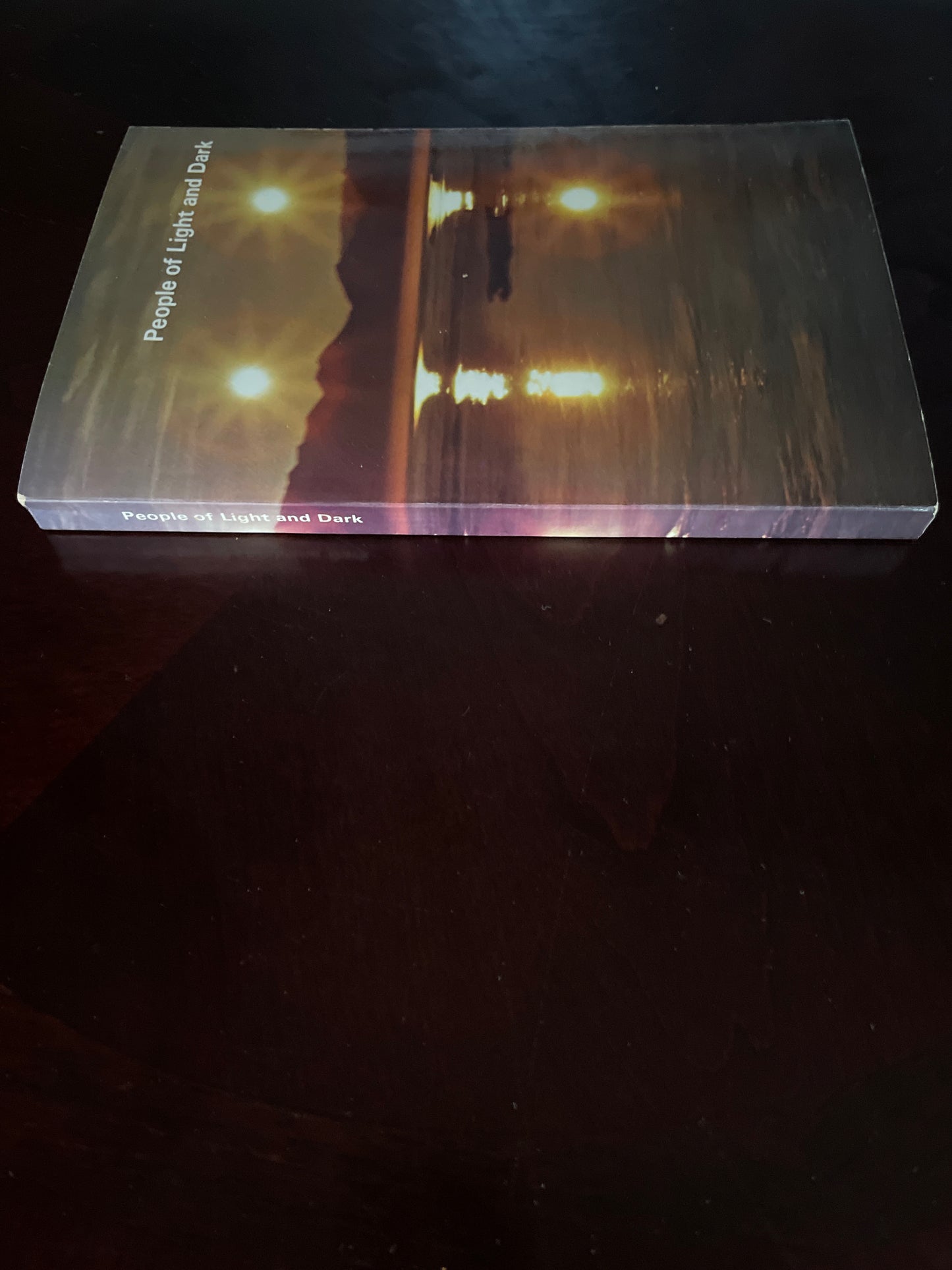People of Light and Dark - van Steensel, Maja