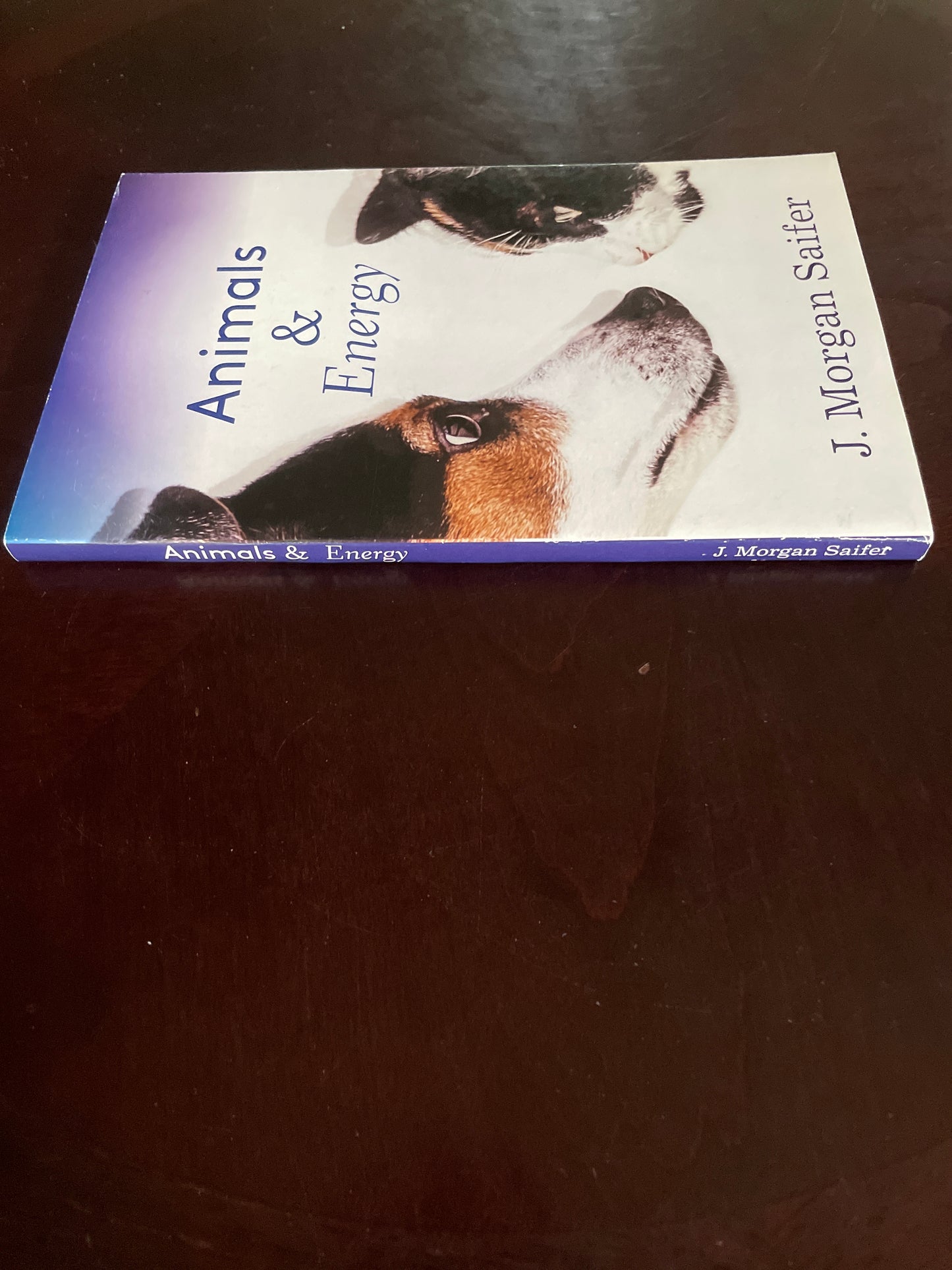 Animals & Energy - Saifer, J. Morgan