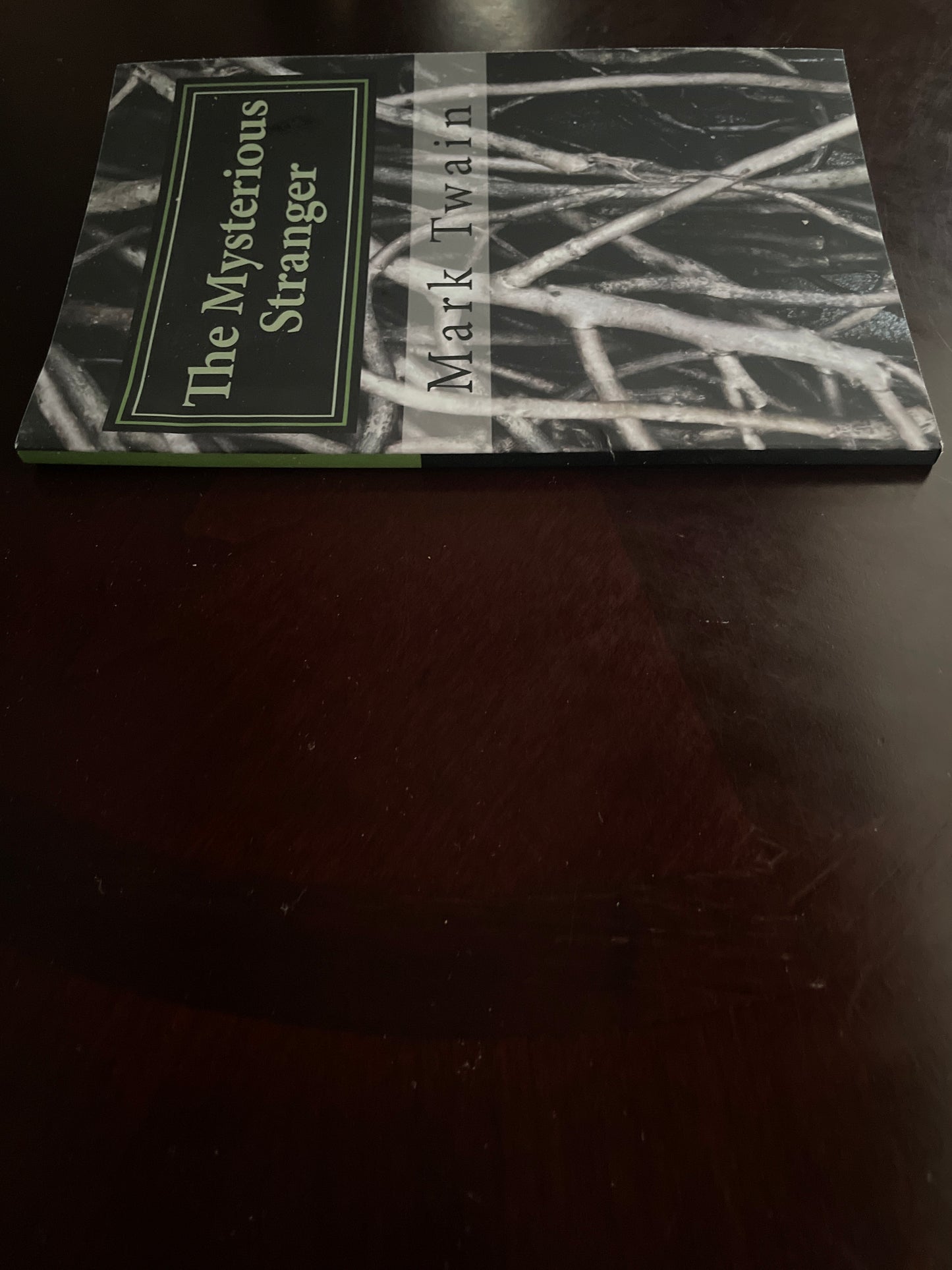 The Mysterious Stranger - Twain, Mark