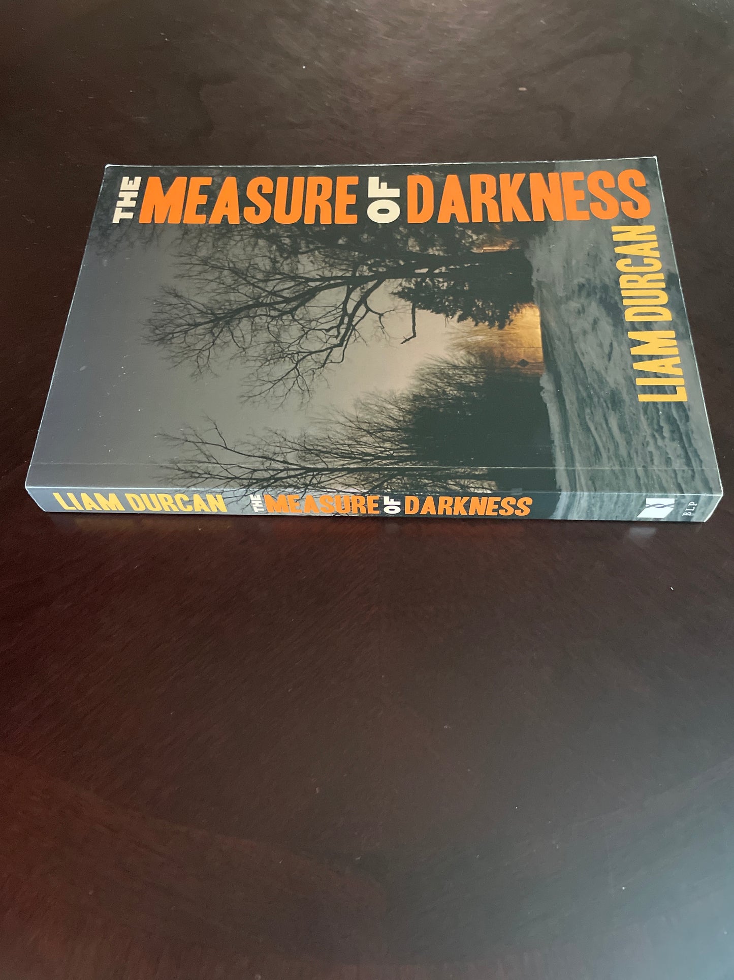 The Measure of Darkness (Inscribed) - Durcan, Liam