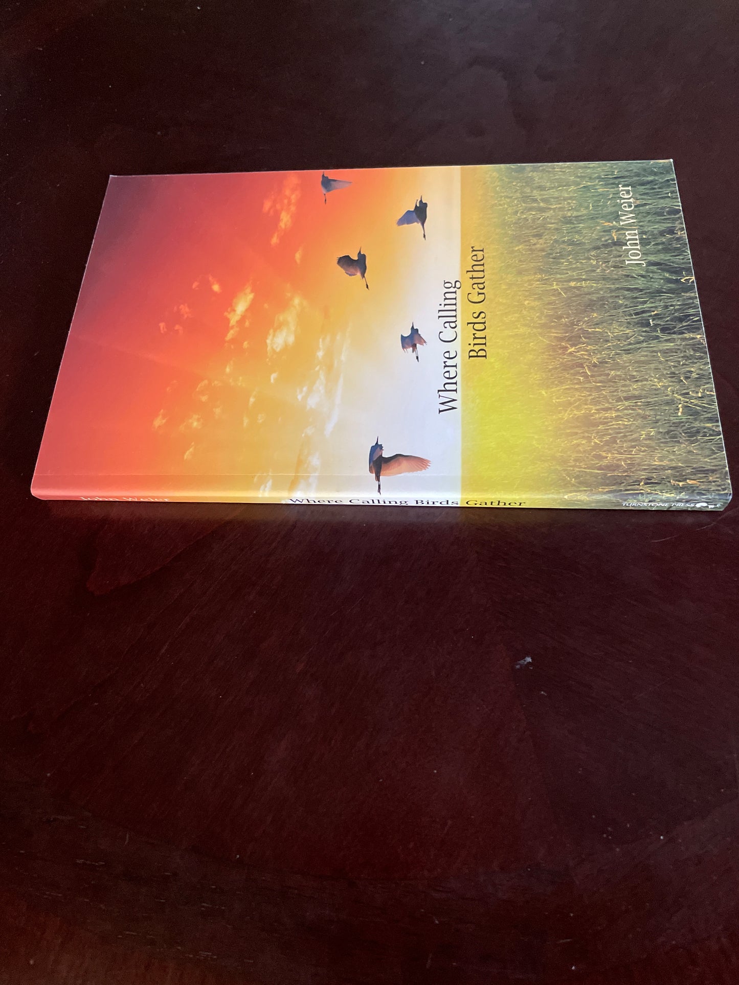 Where Calling Birds Gather (Inscribed) - Weier, John