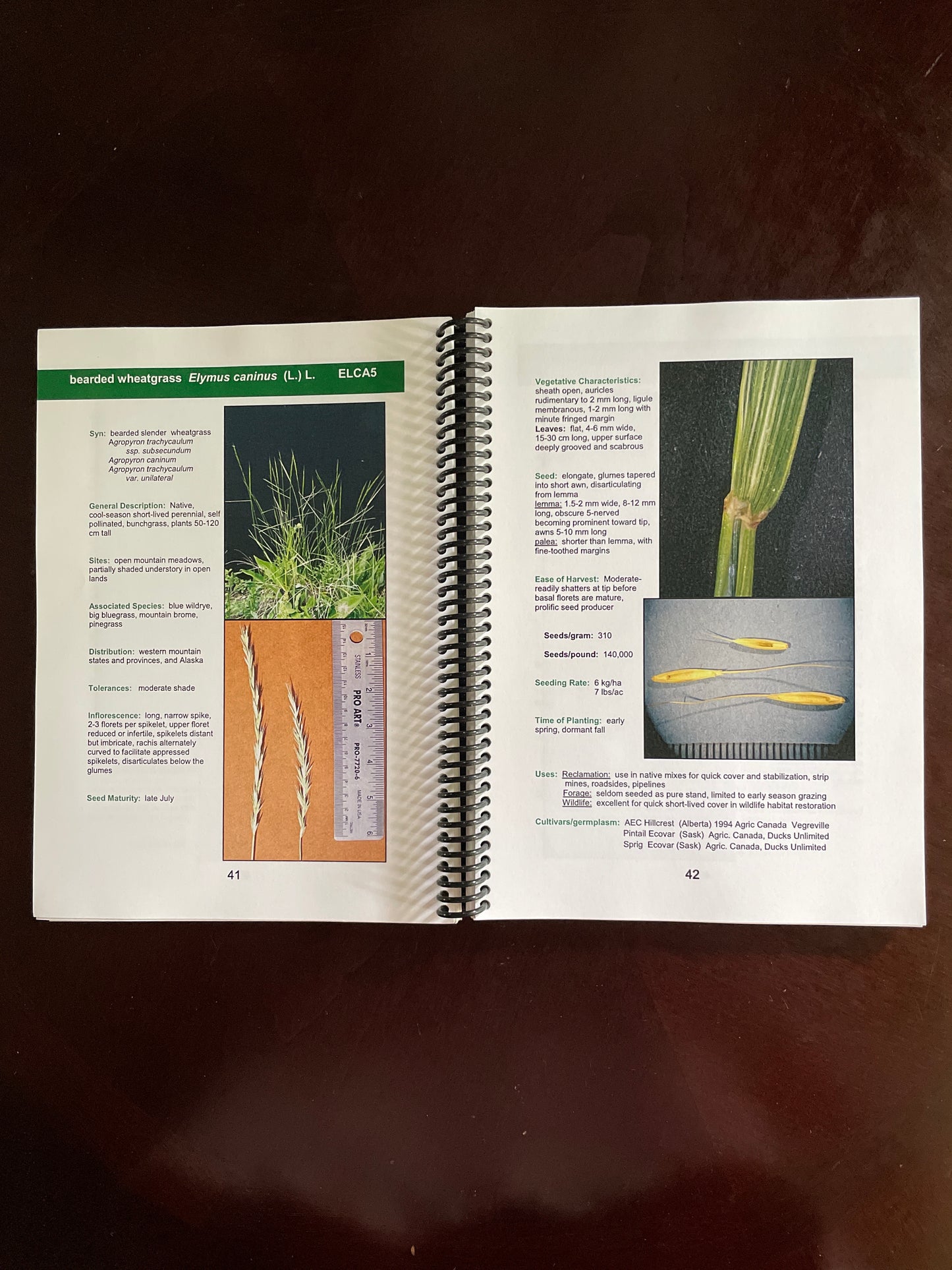 Forage and Reclamation Grasses of the Northern Great Plains and Rocky Mountains (Signed) - Majerus, Mark