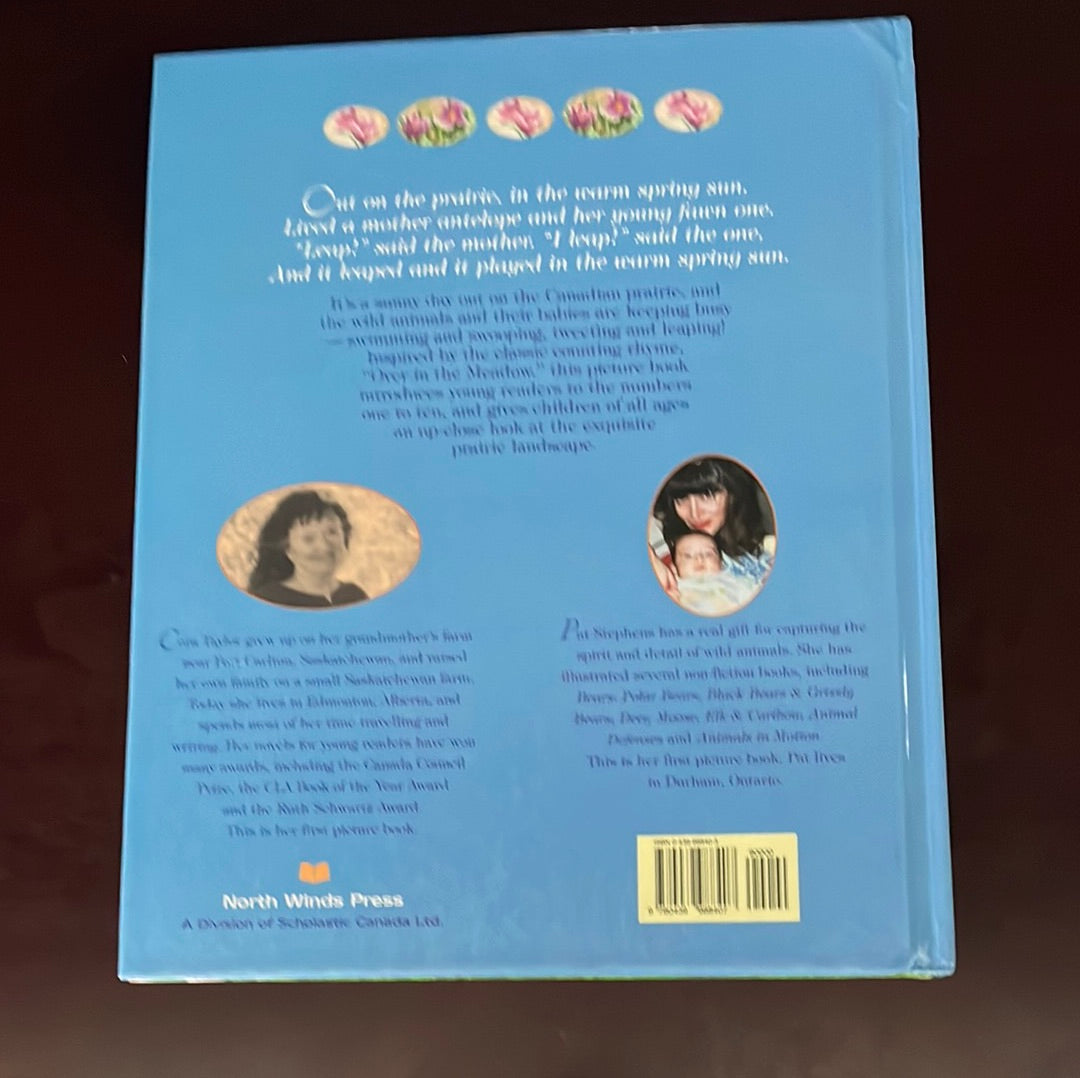 Out on the Prairie: A Canadian Counting Book - Taylor, Cora; Stephens, Pat