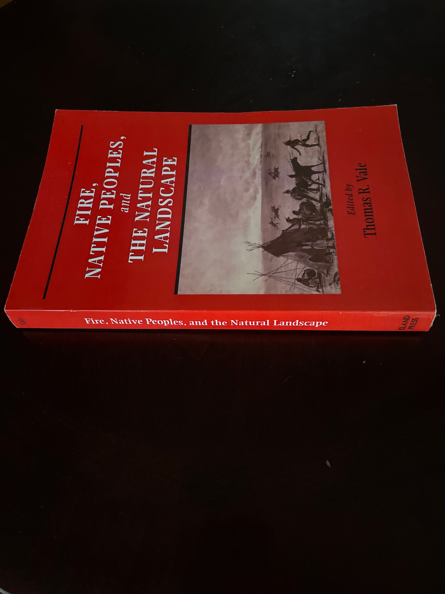 Fire, Native Peoples, and the Natural Landscape - Vale, Thomas R.