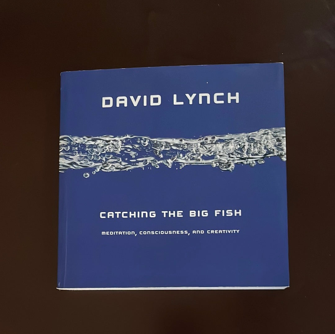 CATCHING THE BIG FISH by David Lynch