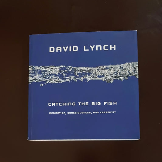Catching the Big Fish: Meditation, Consciousness, and Creativity - Lynch, David