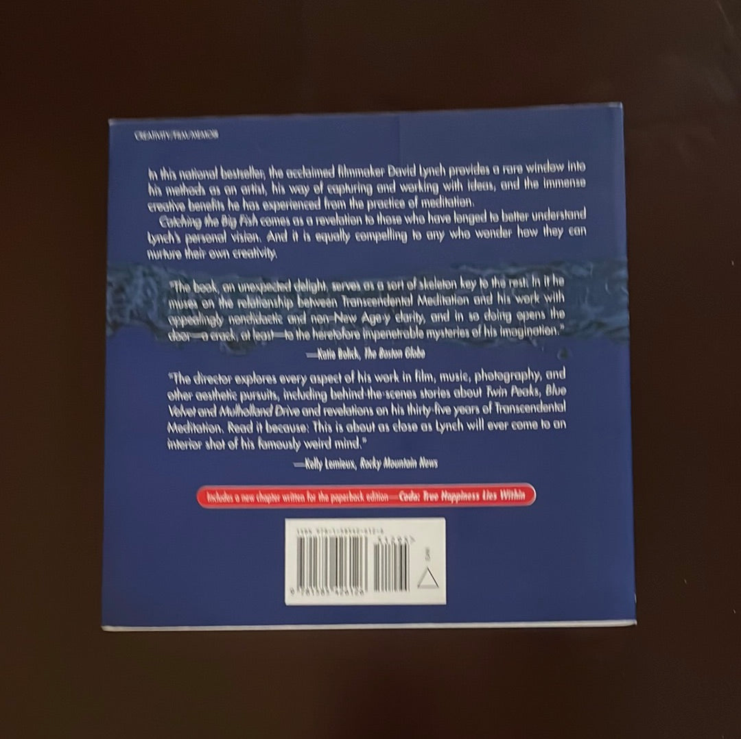 Catching the Big Fish: Meditation, Consciousness, and Creativity - Lynch, David