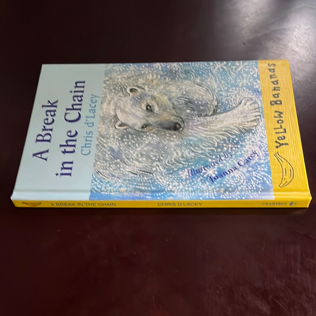 A Break in the Chain - D'Lacey, Chris