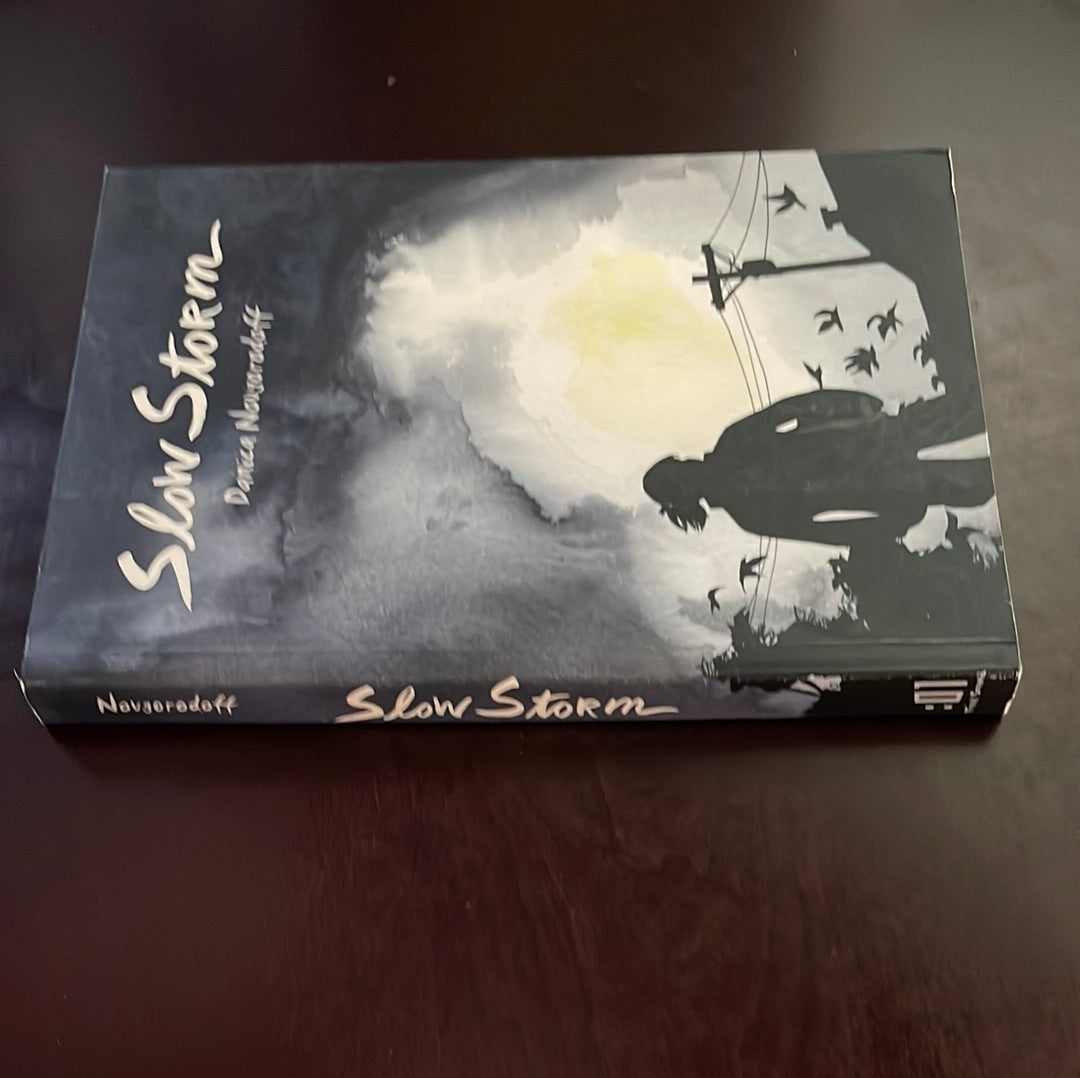 Slow Storm - Novgorodoff, Danica