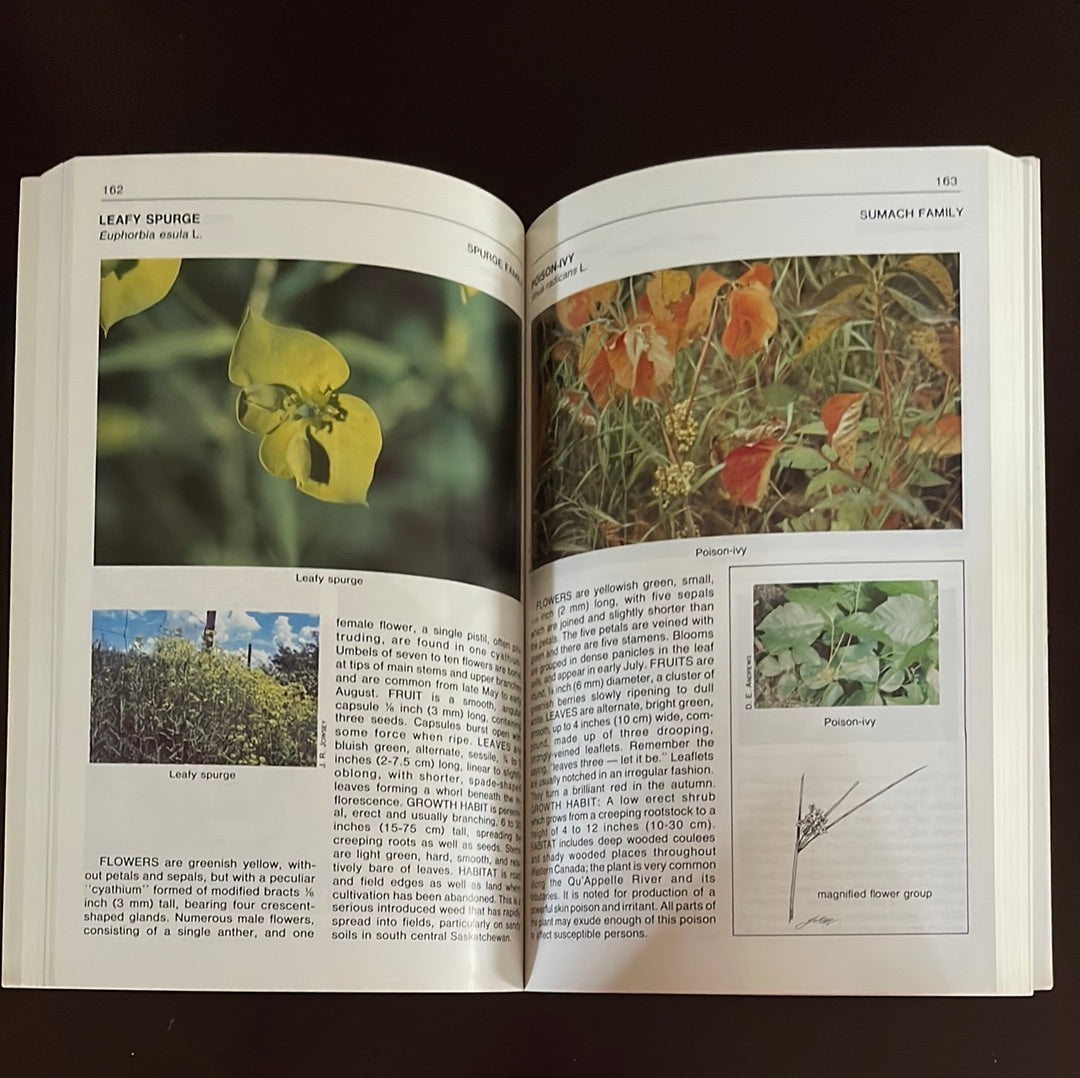 Wildflowers Across the Prairie - Vance, F.R.; McLean, J.S.; Jowsey, J.R.