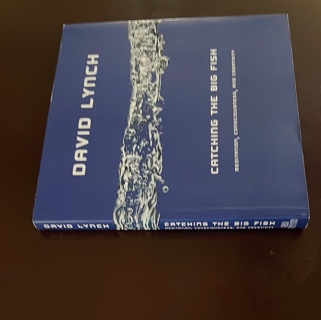 Catching the Big Fish: Meditation, Consciousness, and Creativity - Lynch, David