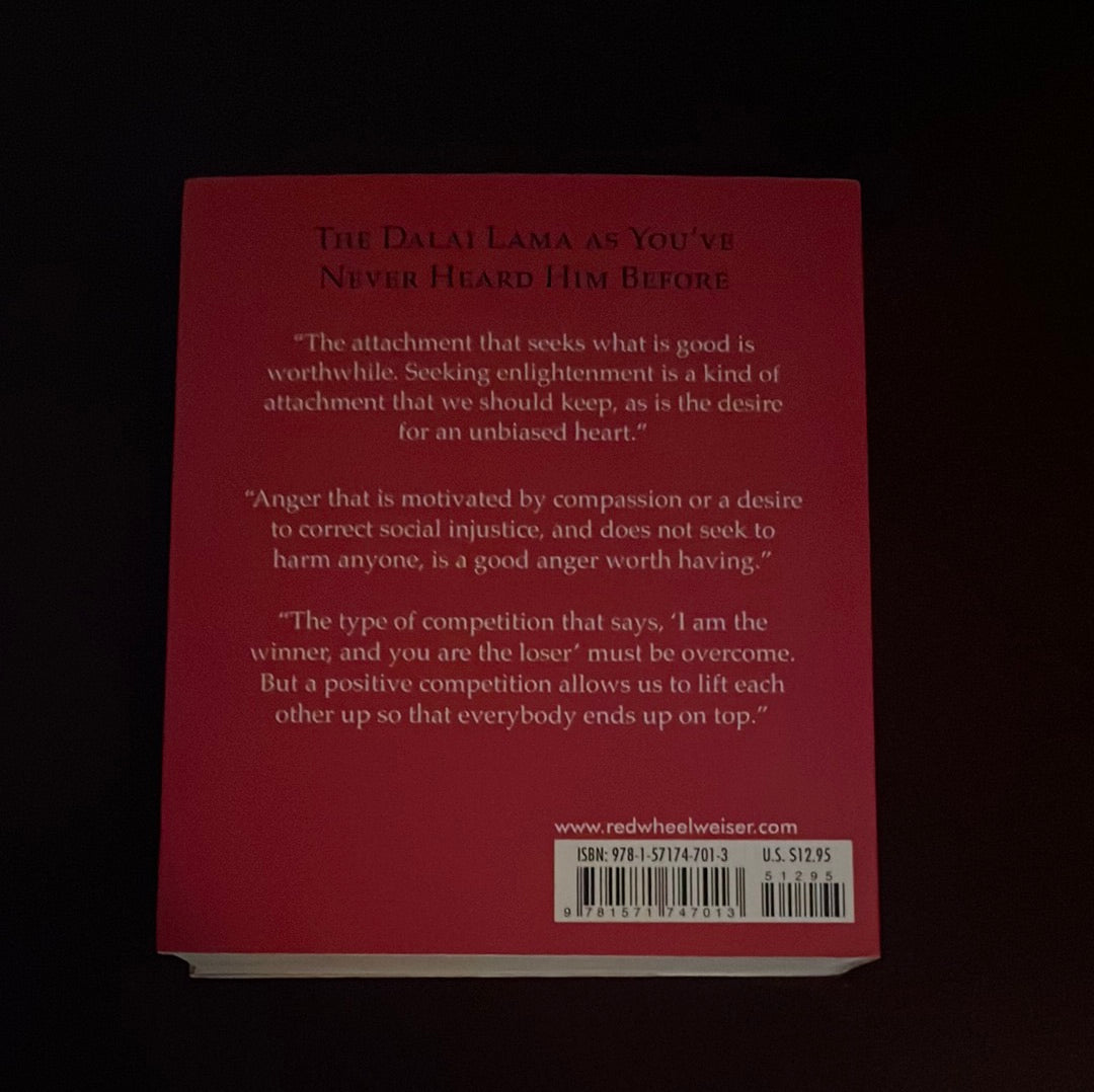 The Dalai Lama on What Matters Most: Conversations on Anger, Compassion, and Action - Ueda, Noriyuki