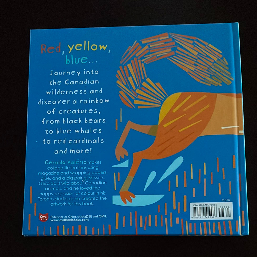 Splish, Splash, Foxes Dash!: Canadian Wildlife in Colour - Valério, Geraldo