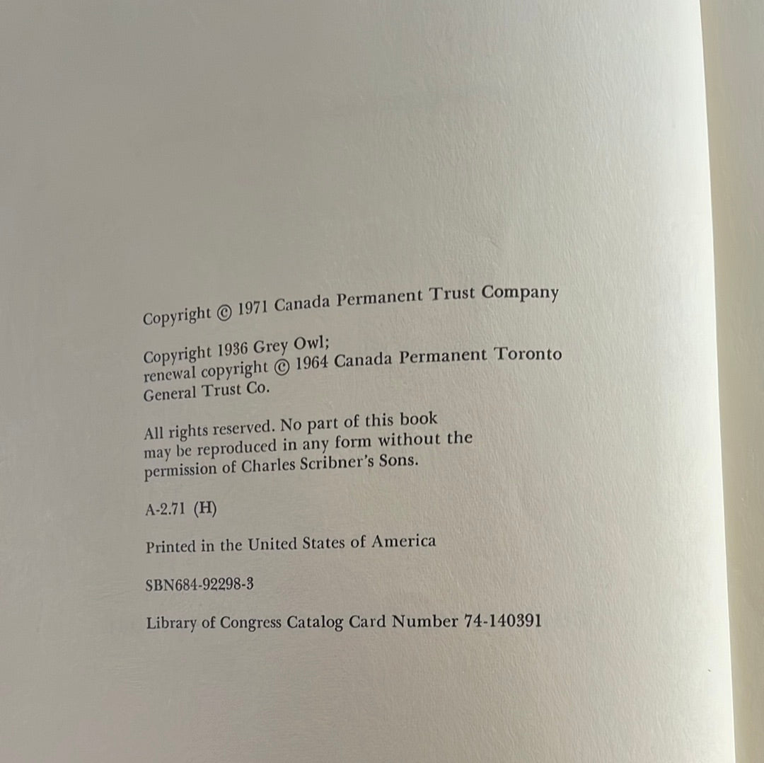 Sajo and the Beaver People - Owl, Grey