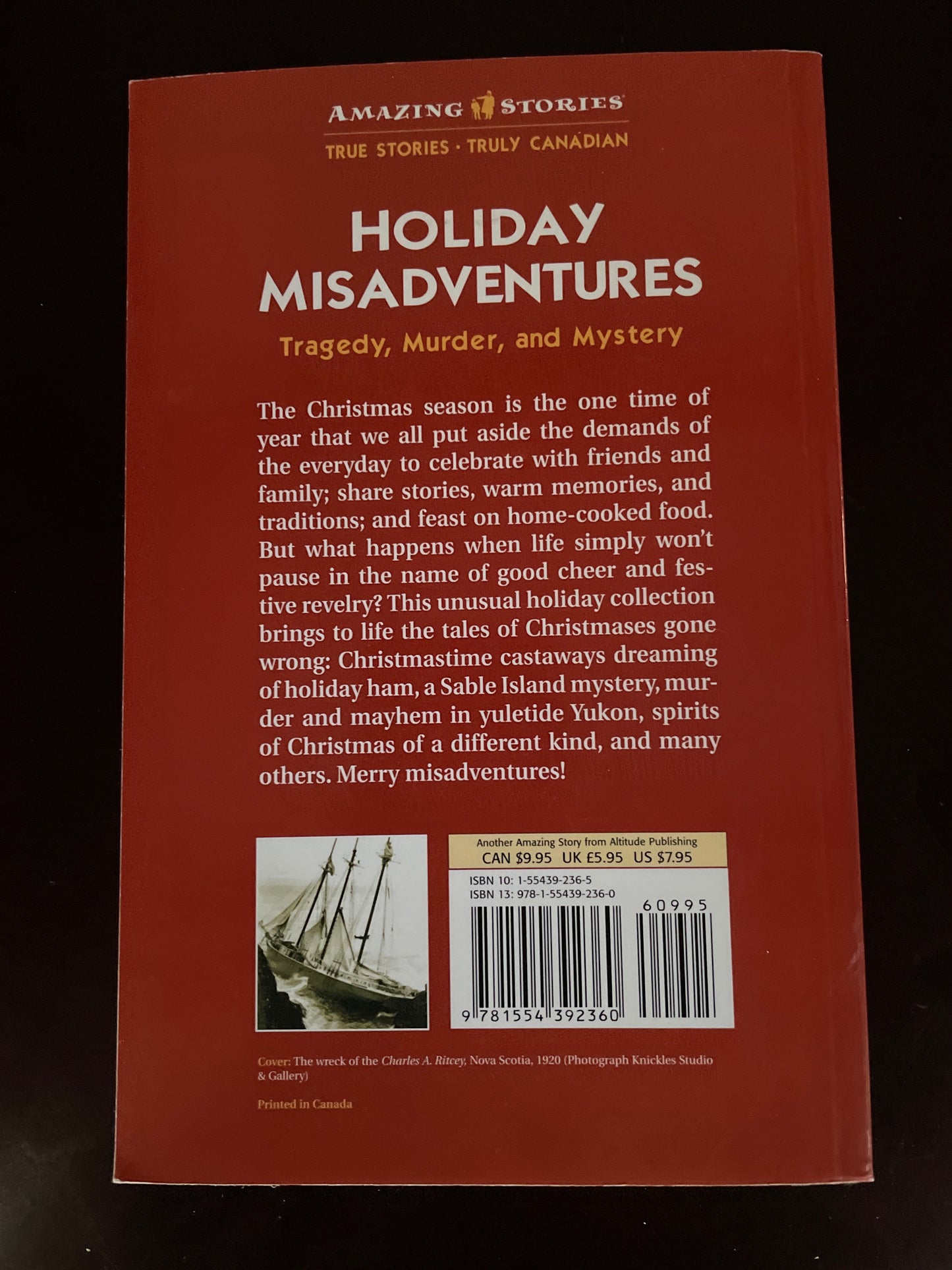 Holiday Misadventures: Tragedy, Murder and Mystery - Glasner, Joyce; Bertin, Johanna; Hind, Andrew; Da Silva, Maria; Mole, Rich