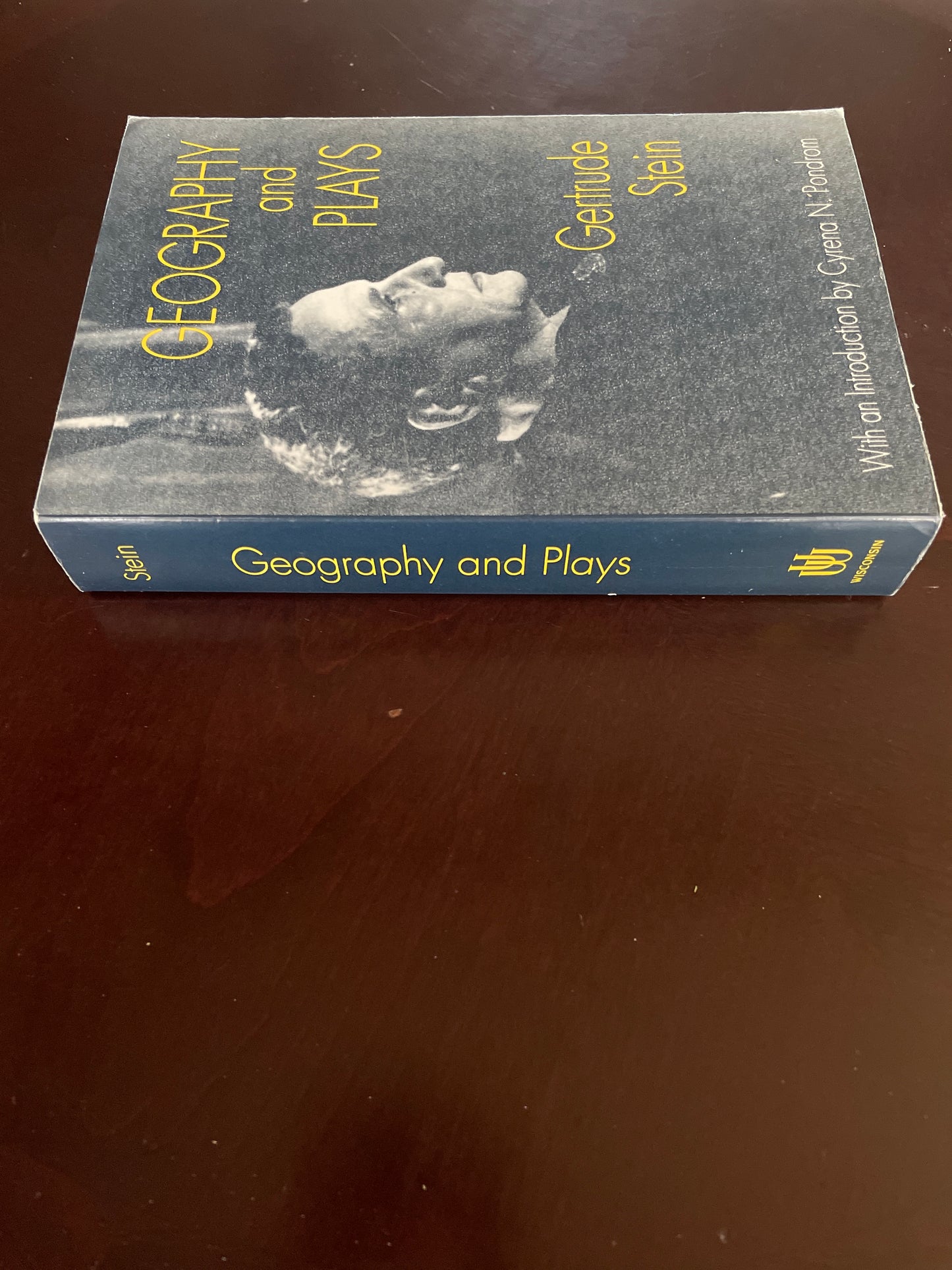 Geography and Plays - Stein, Gertrude