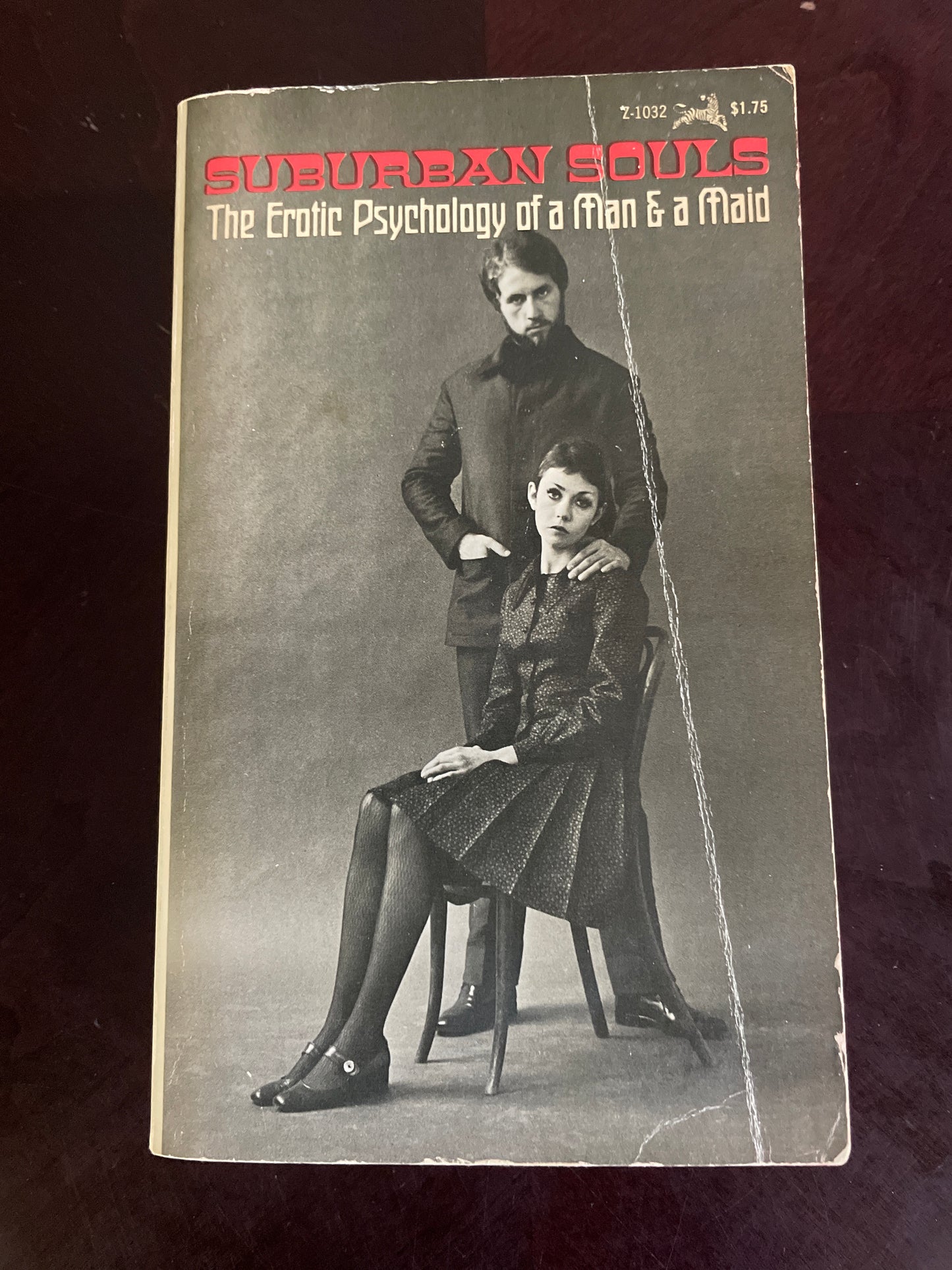 Suburban Souls: The Erotic Psychology of a Man & a Maid - Anonymous