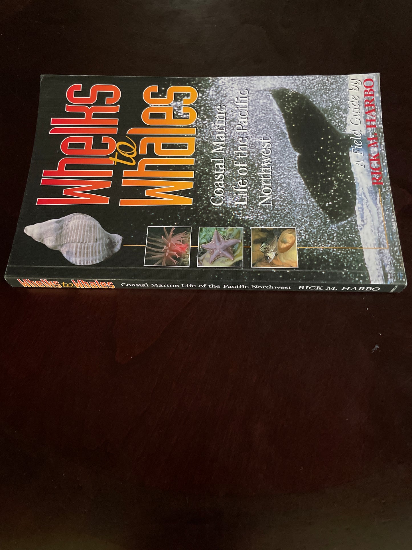 Whelks to Whales: Coastal Marine Life of the Pacific Northwest - Harbo, Rick M.