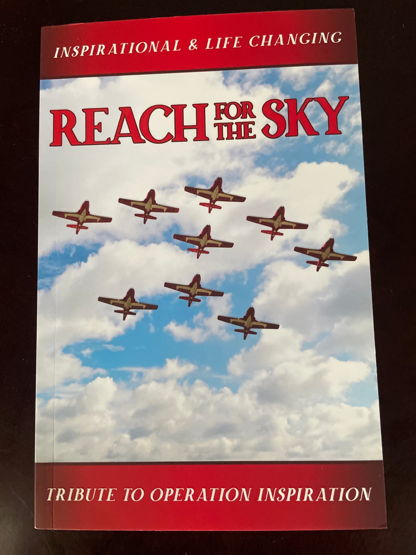 Reach for the Sky: Tribute to Operation Inspiration (Signed) - Dodds, Drew