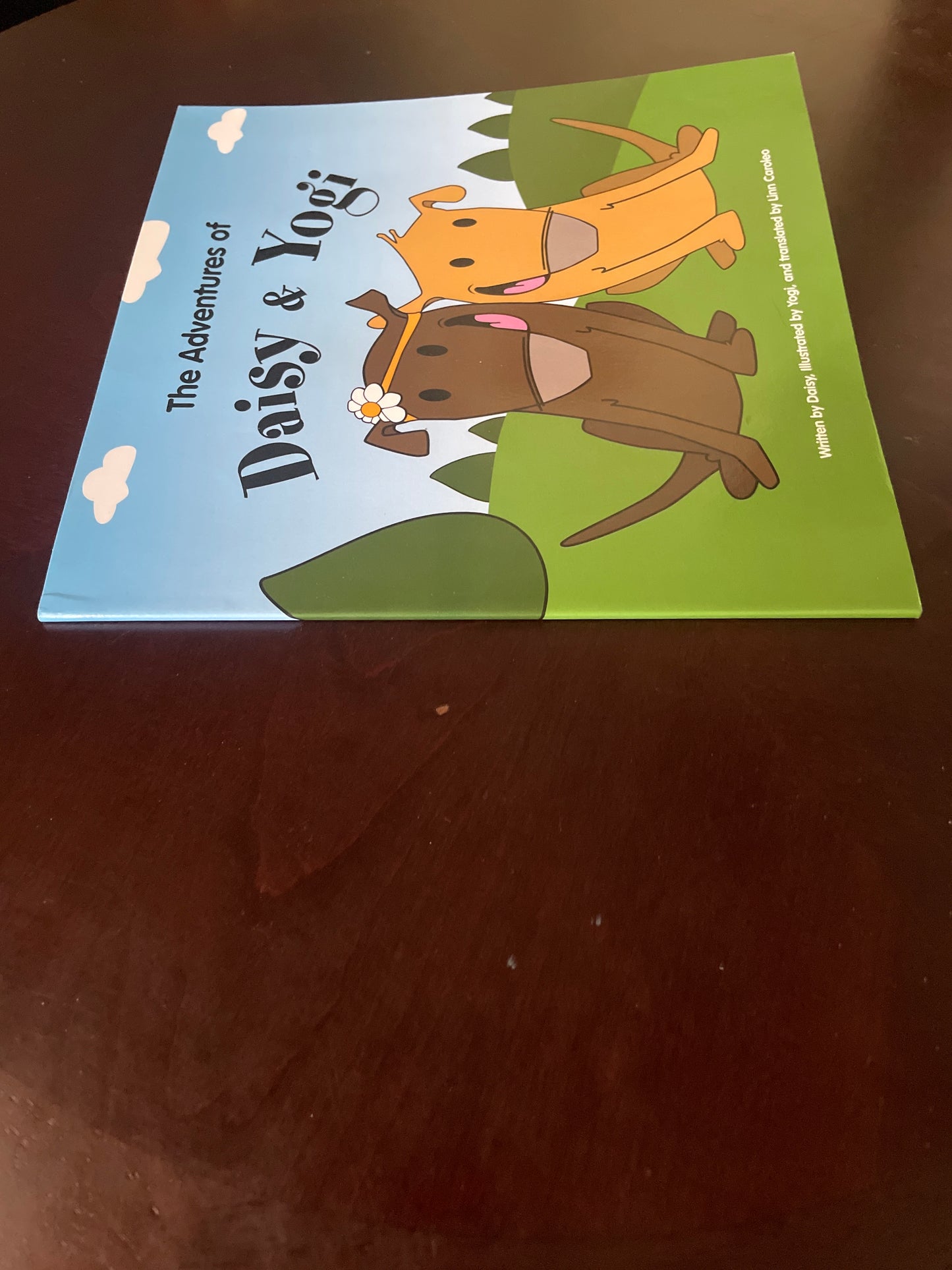 The Adventures of Daisy & Yogi (SIGNED) - Caroleo, Linn